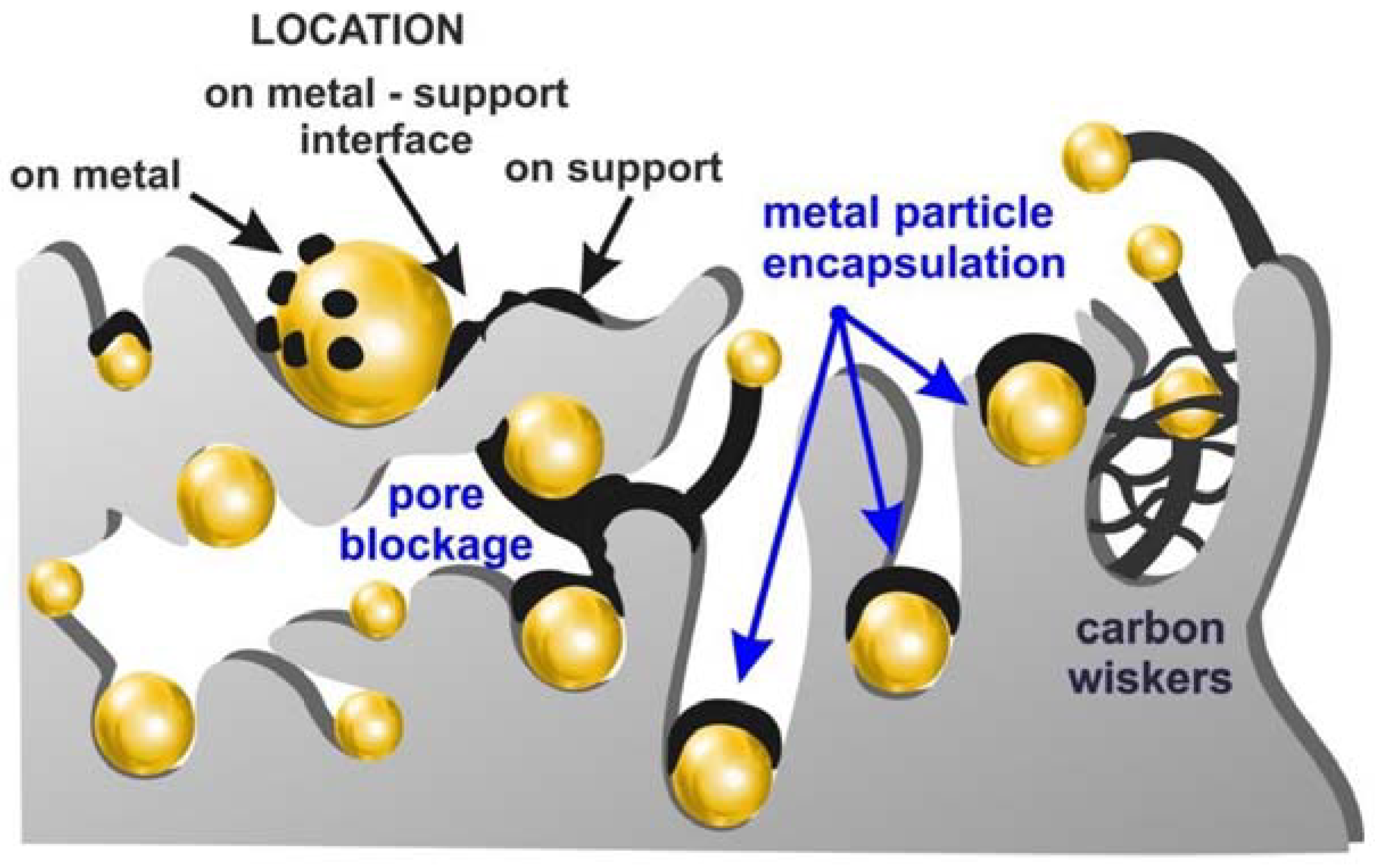 Catalysts 14 00176 g001 Catalysts 14 00176 g001