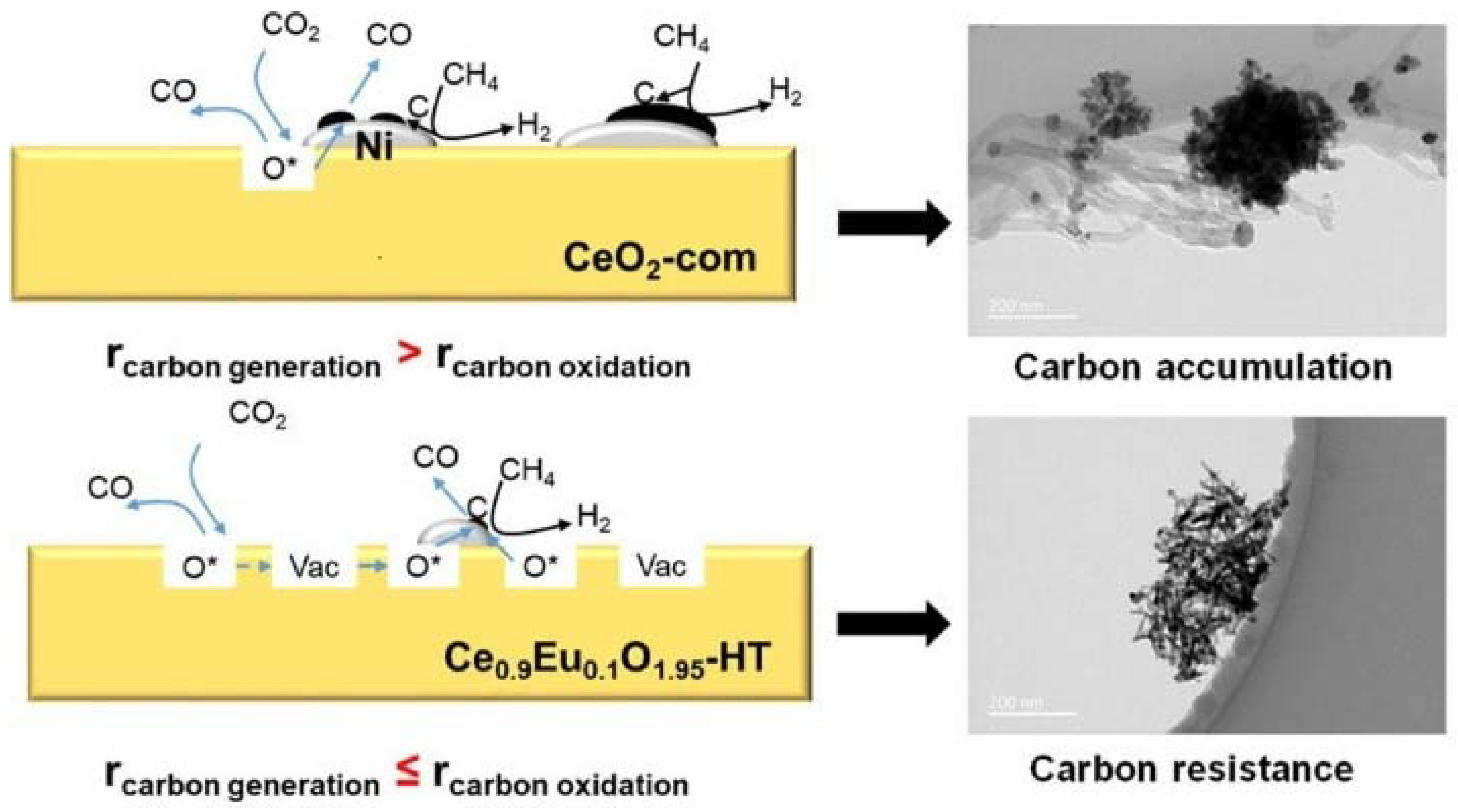 Catalysts 14 00176 g004 Catalysts 14 00176 g004