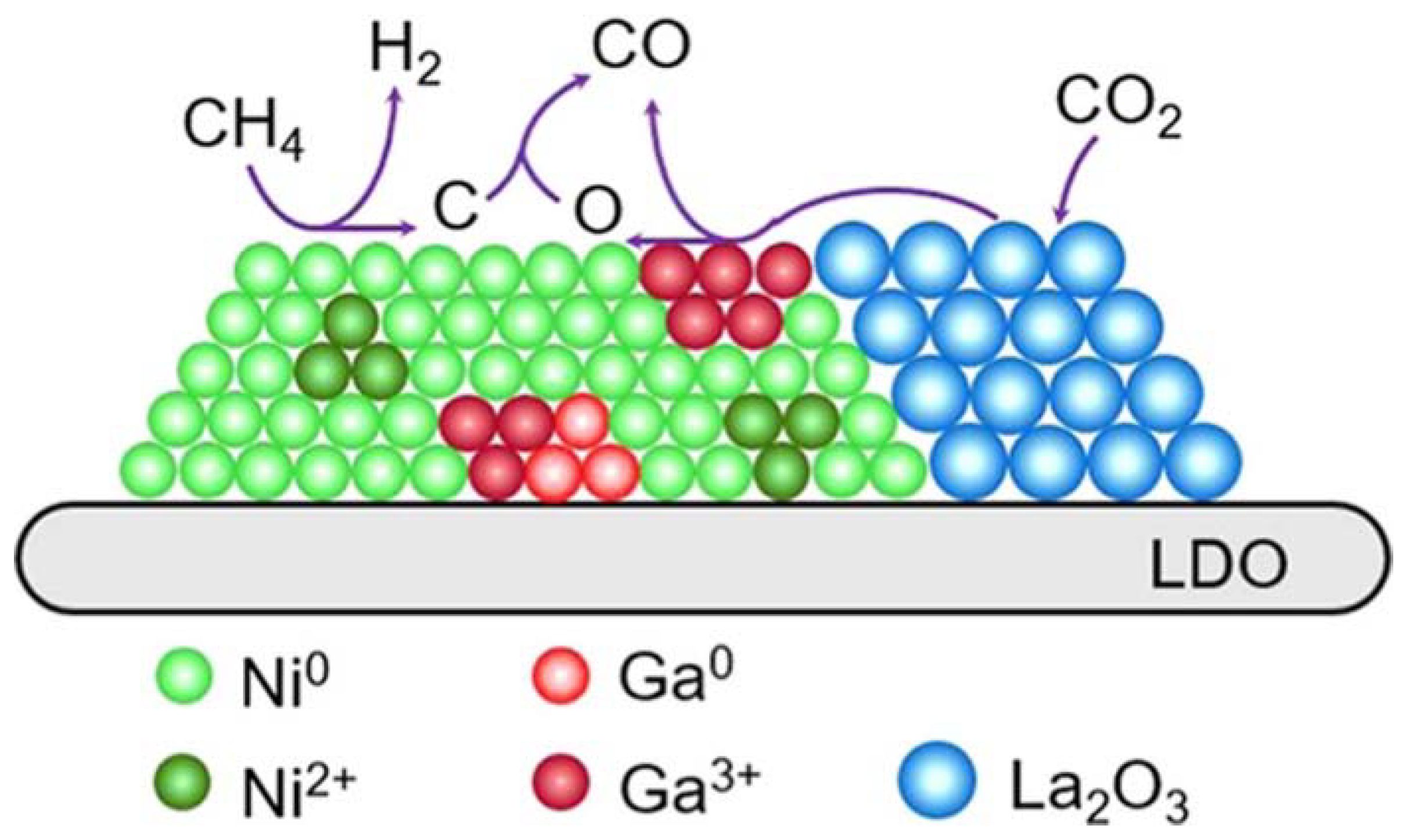 Catalysts 14 00176 g005 Catalysts 14 00176 g005