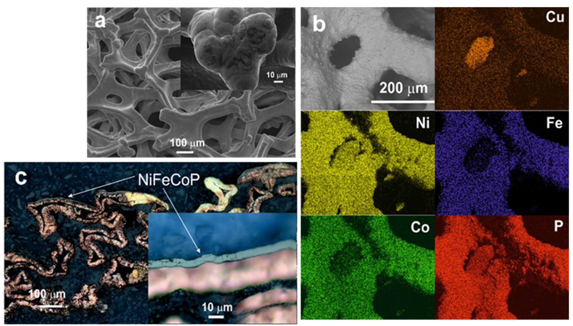 Catalysts 14 00179 g005 Catalysts 14 00179 g005