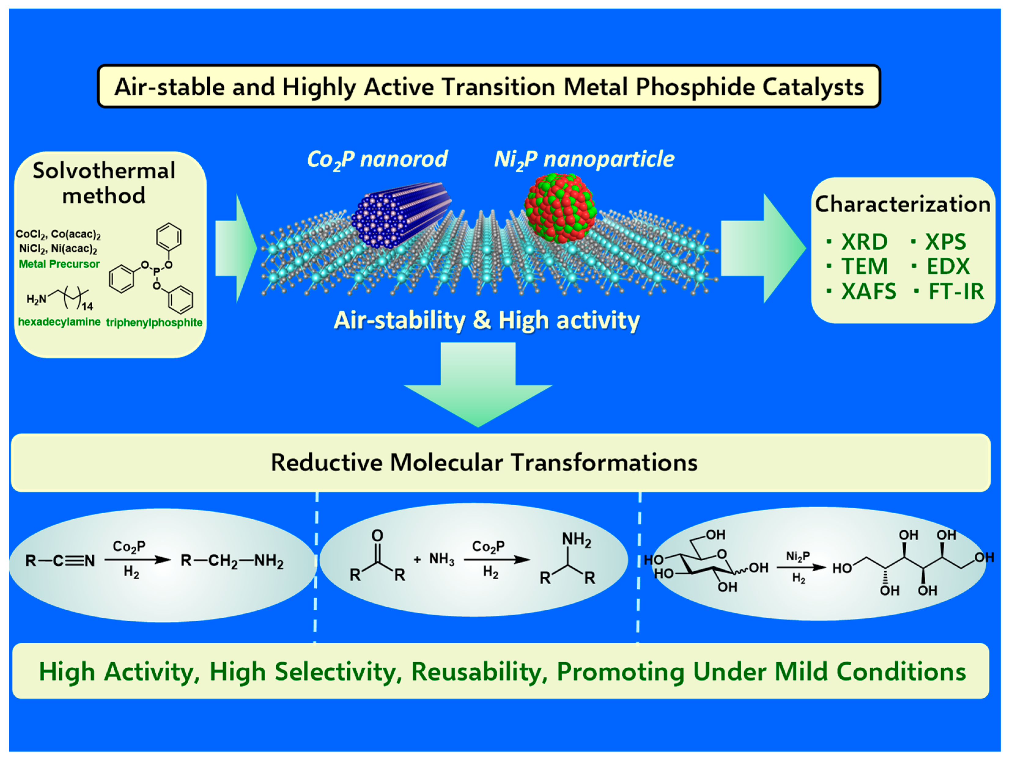 Catalysts 14 00193 g001