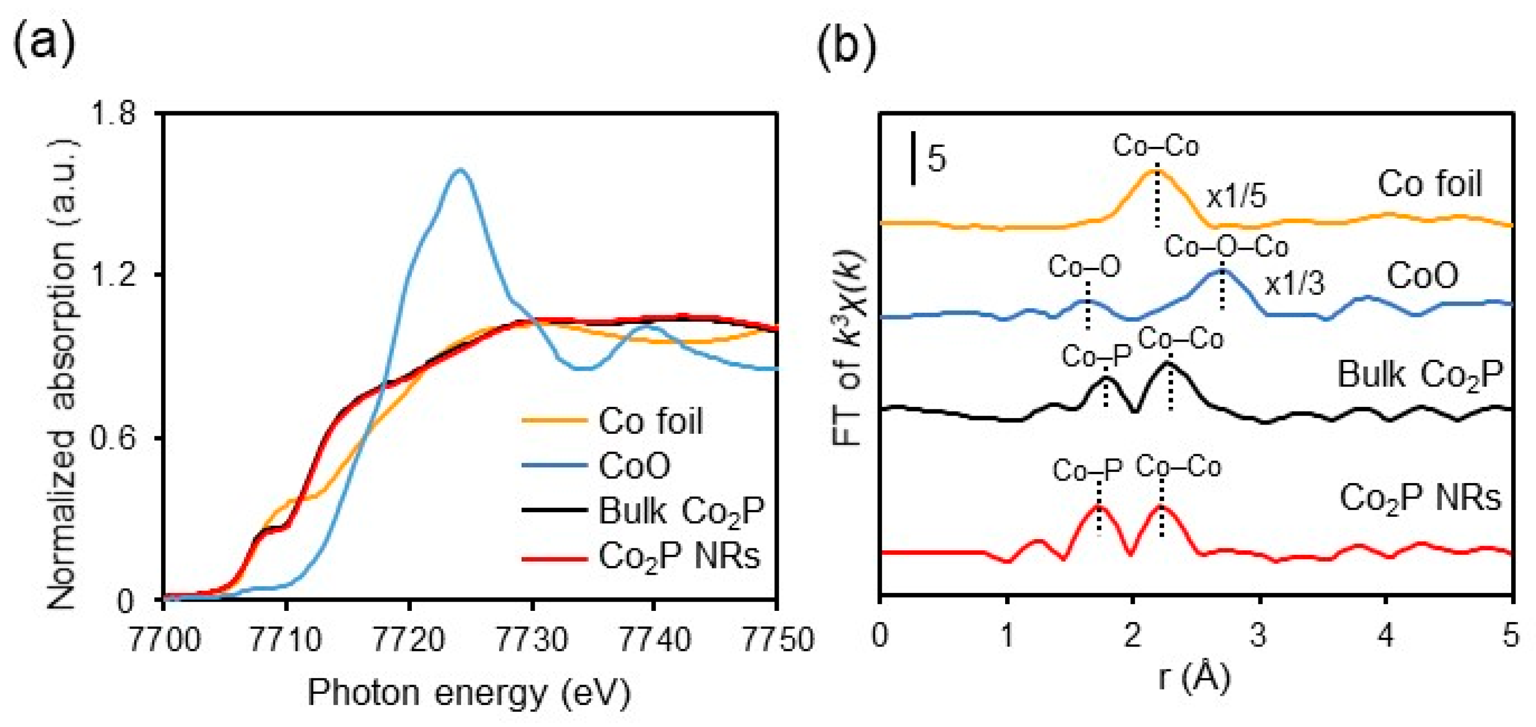 Catalysts 14 00193 g008