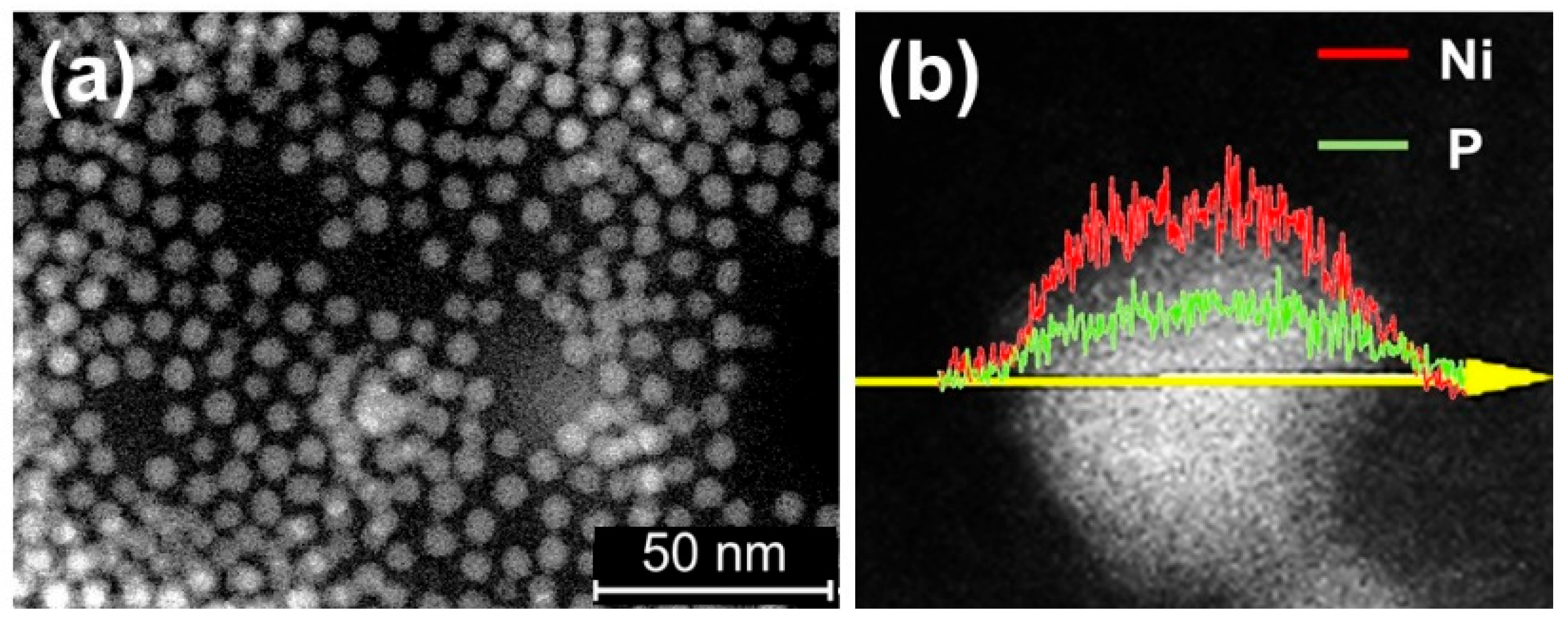 Catalysts 14 00193 g010