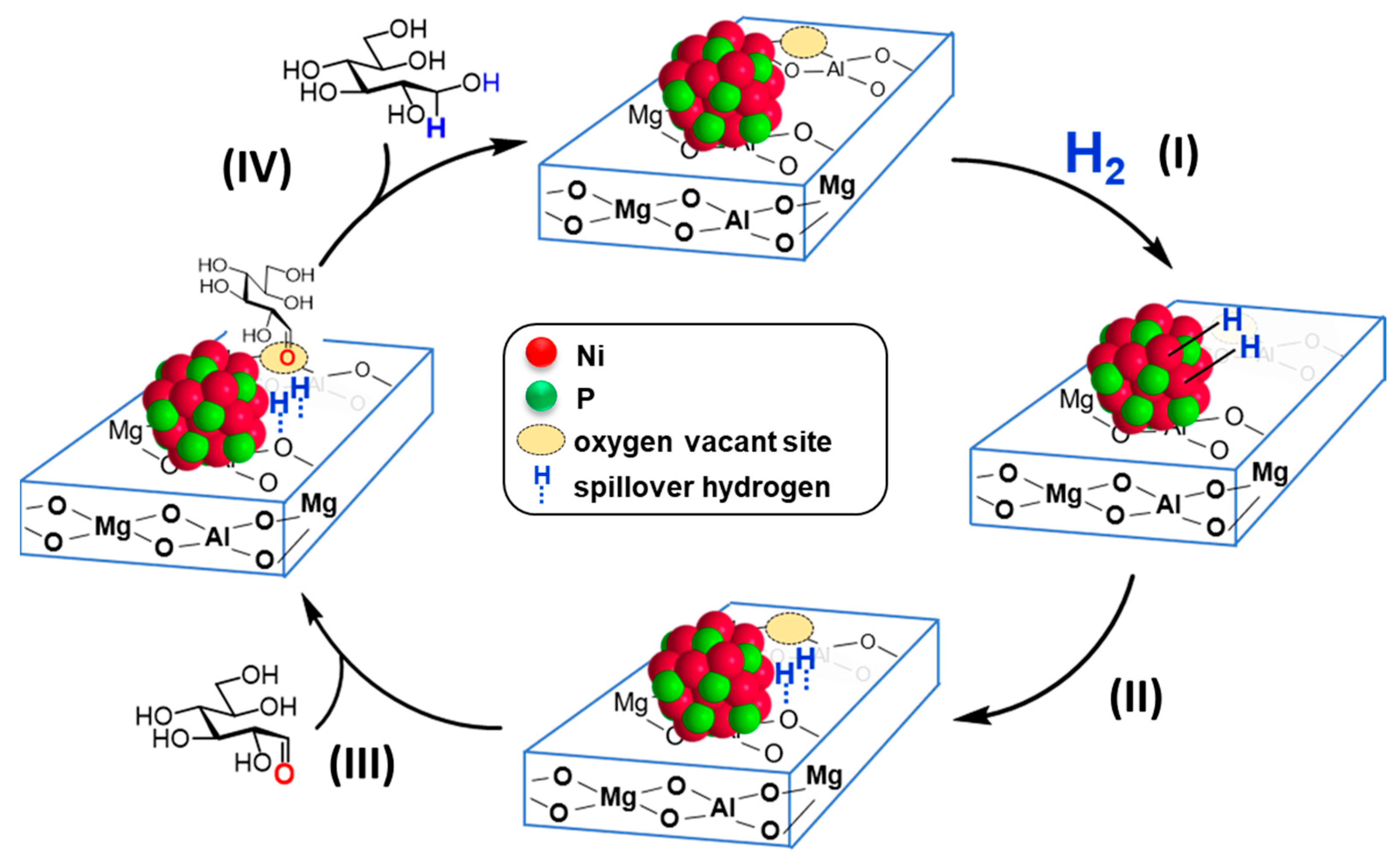 Catalysts 14 00193 g012