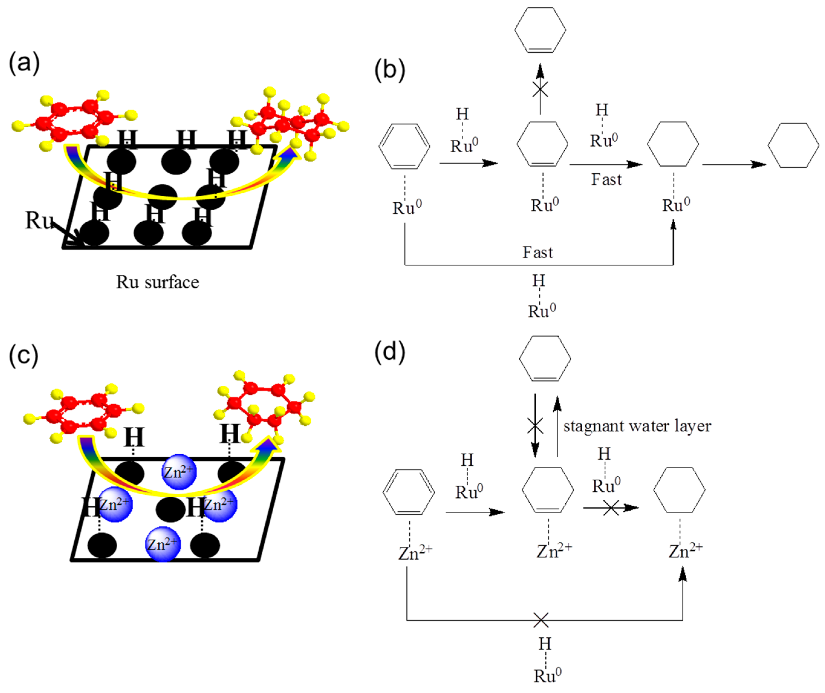 Catalysts 14 00194 g008