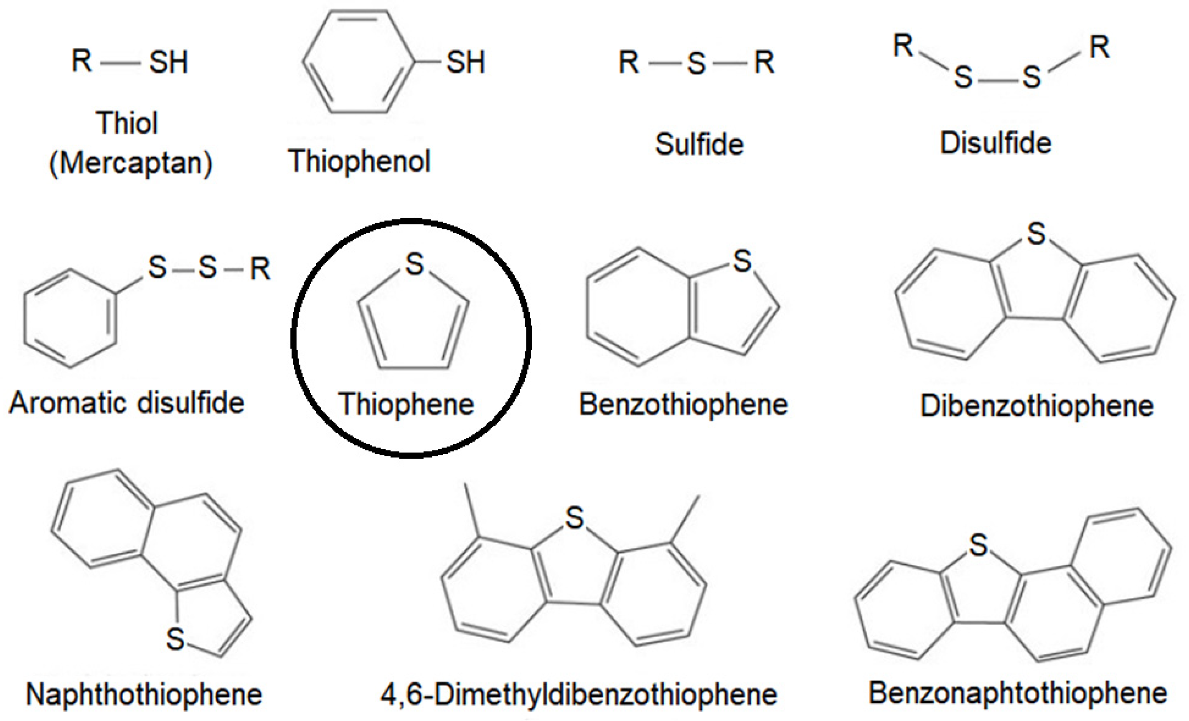 Catalysts 14 00198 g001