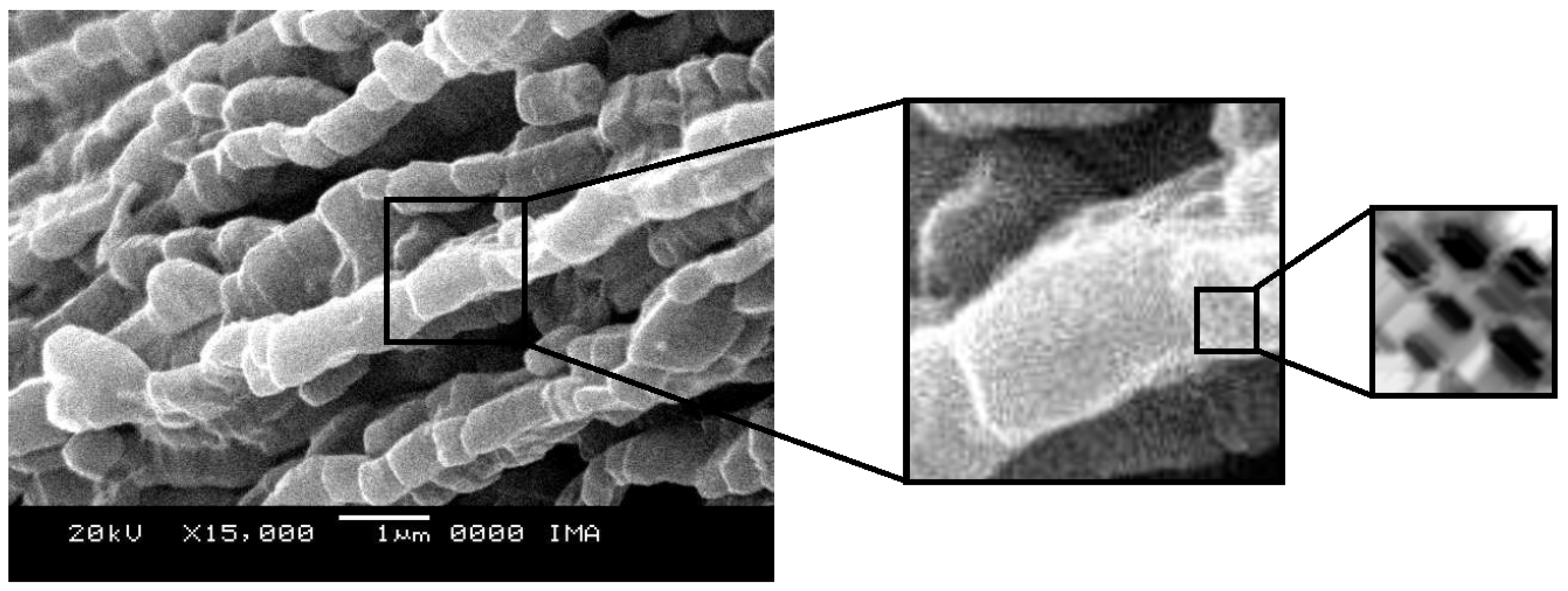 Catalysts 14 00198 g011