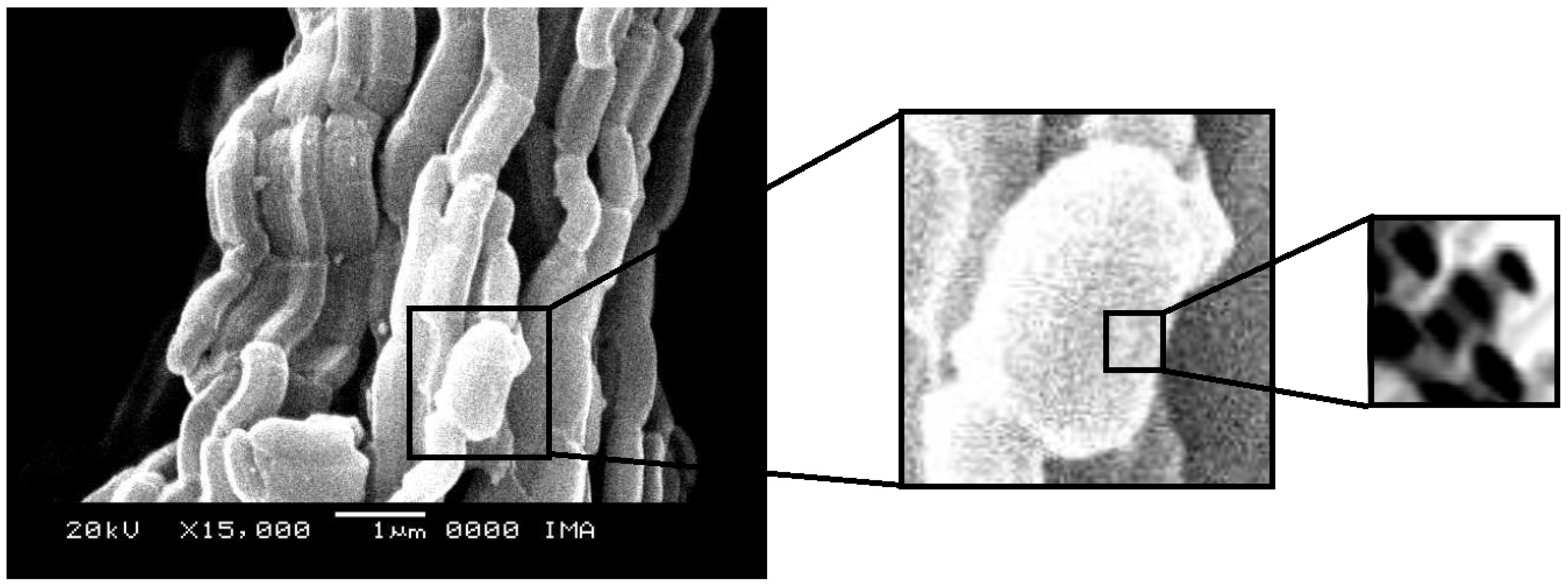 Catalysts 14 00198 g012