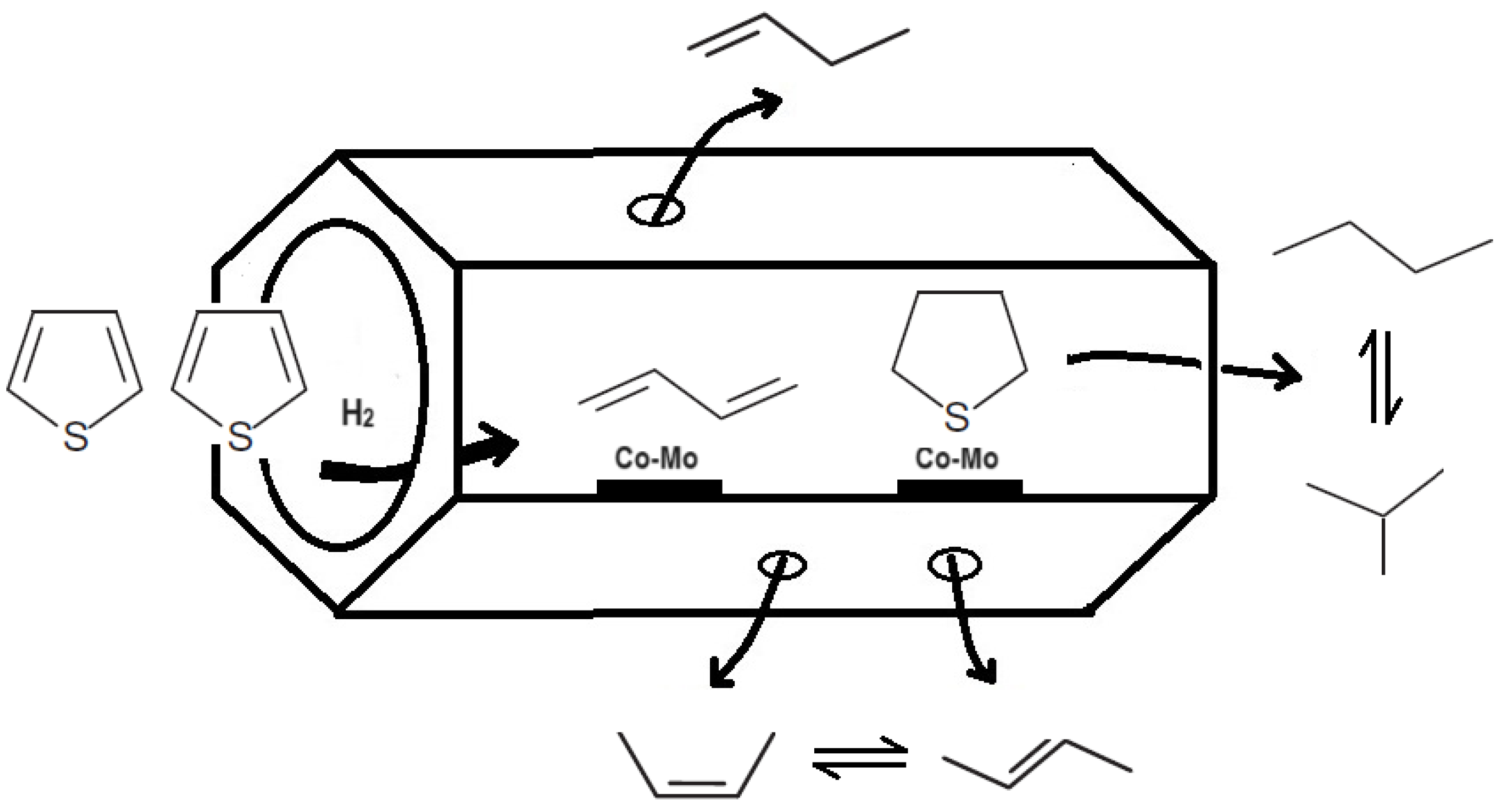 Catalysts 14 00198 g015