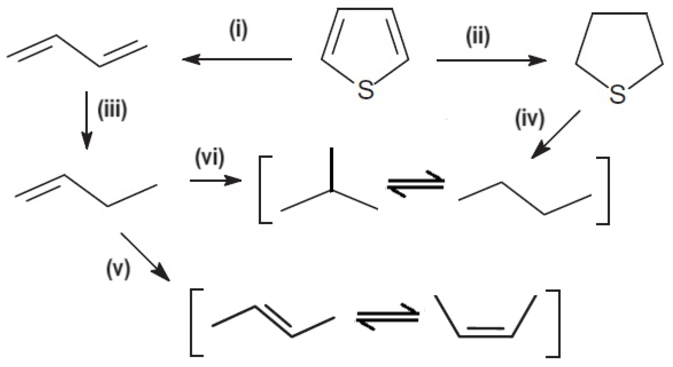 Catalysts 14 00198 g016