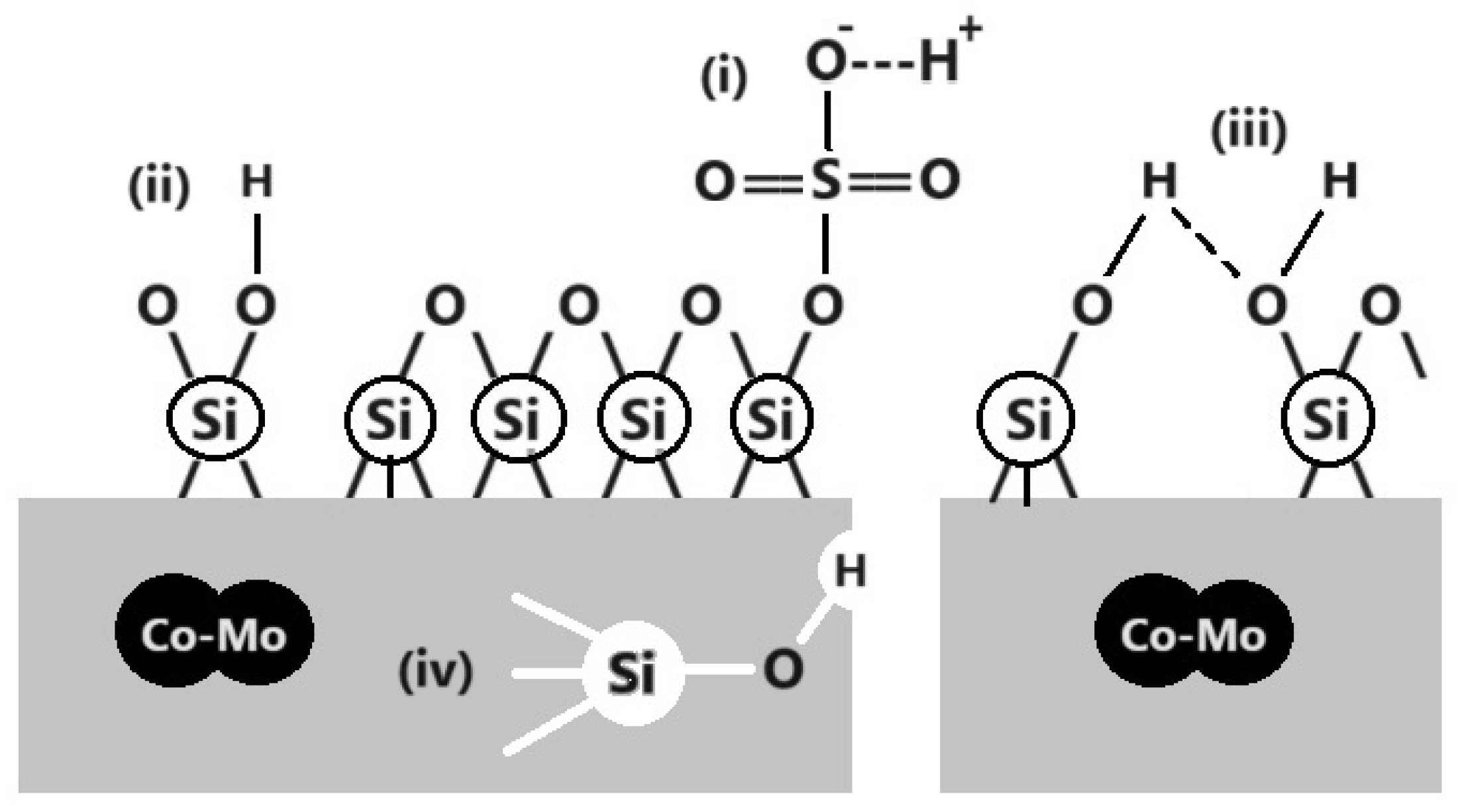 Catalysts 14 00198 g017
