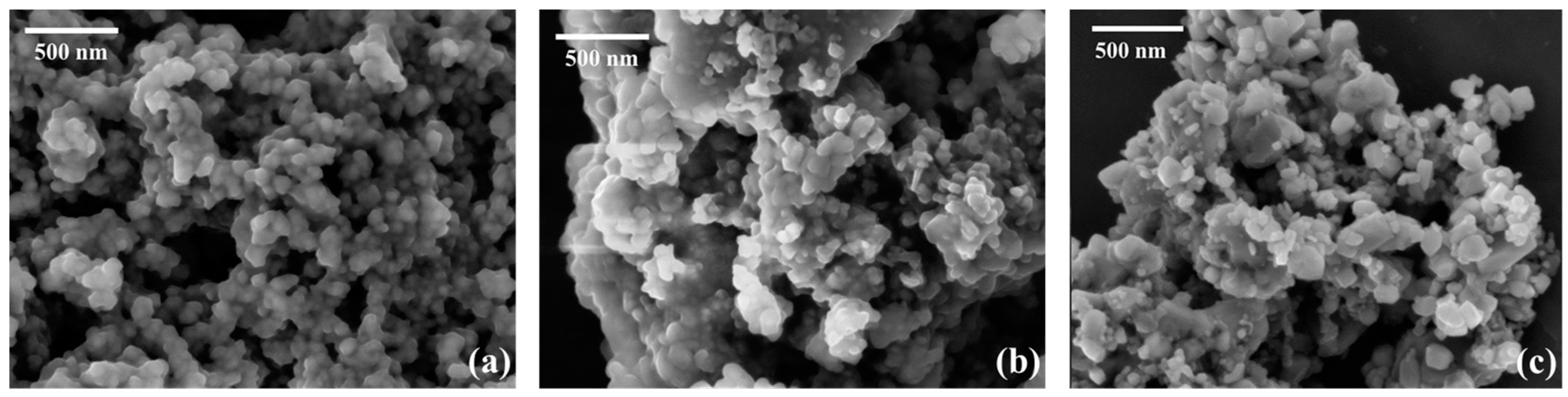 Catalysts 14 00204 g004