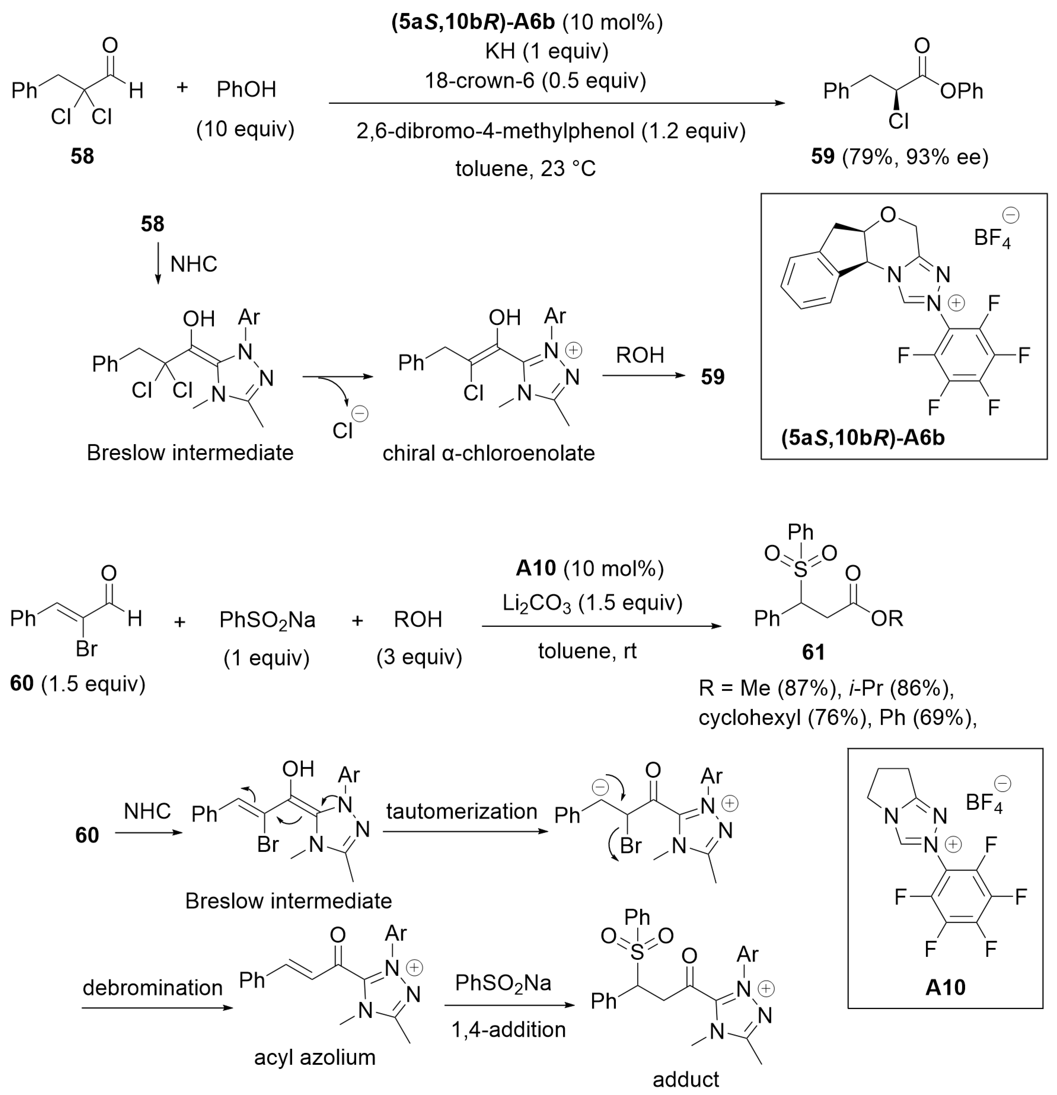 Catalysts 14 00219 sch017