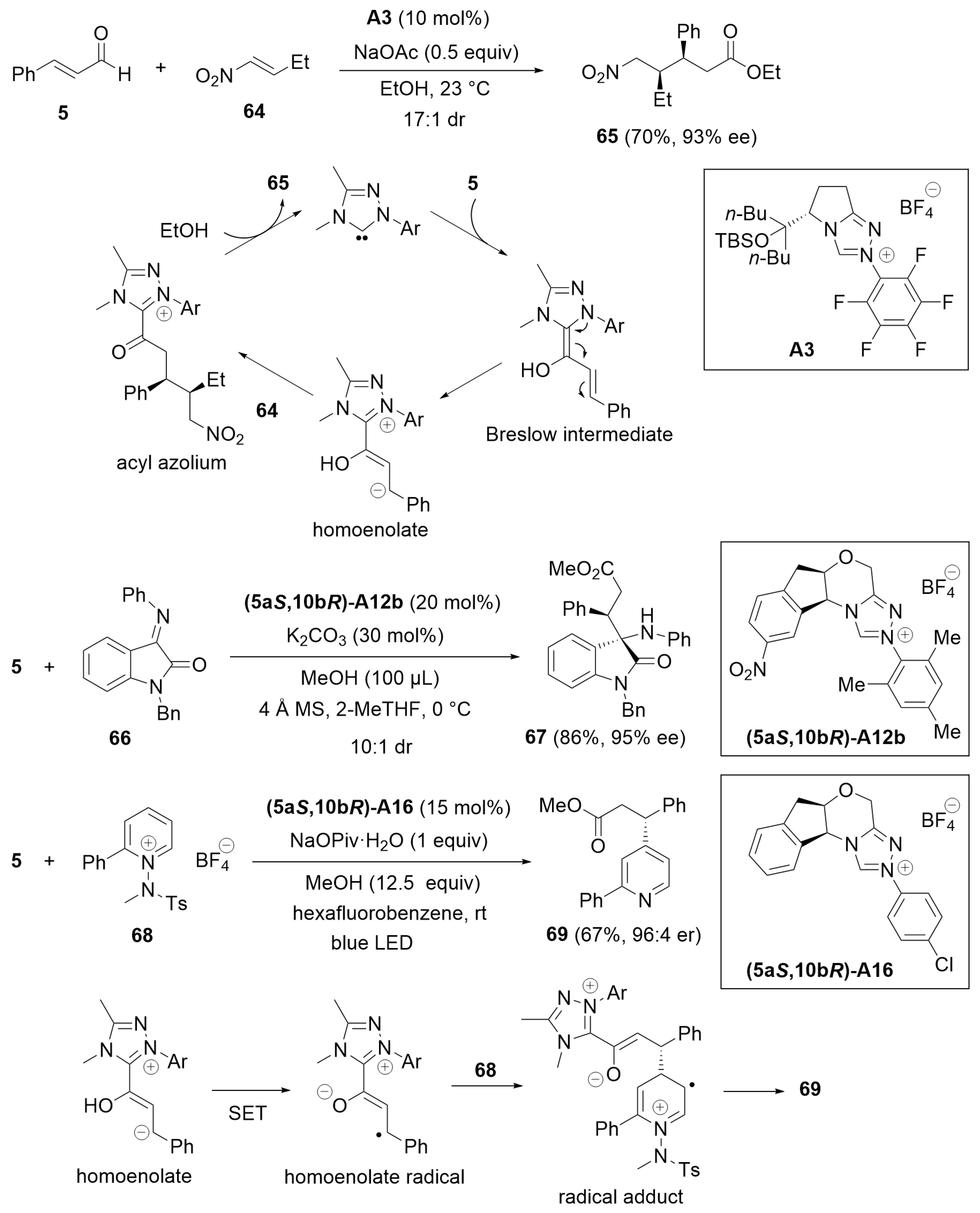 Catalysts 14 00219 sch019