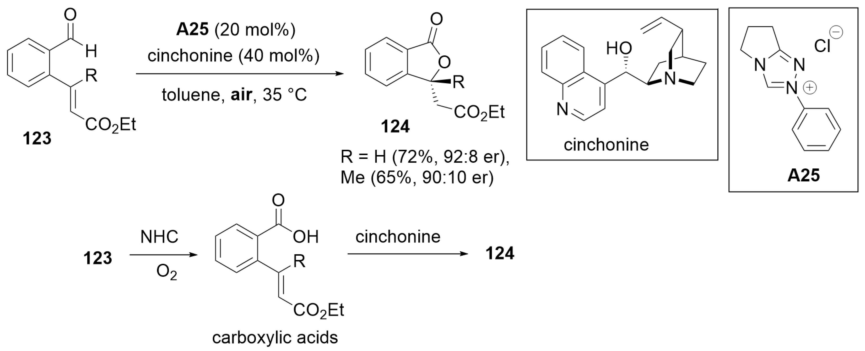 Catalysts 14 00219 sch037