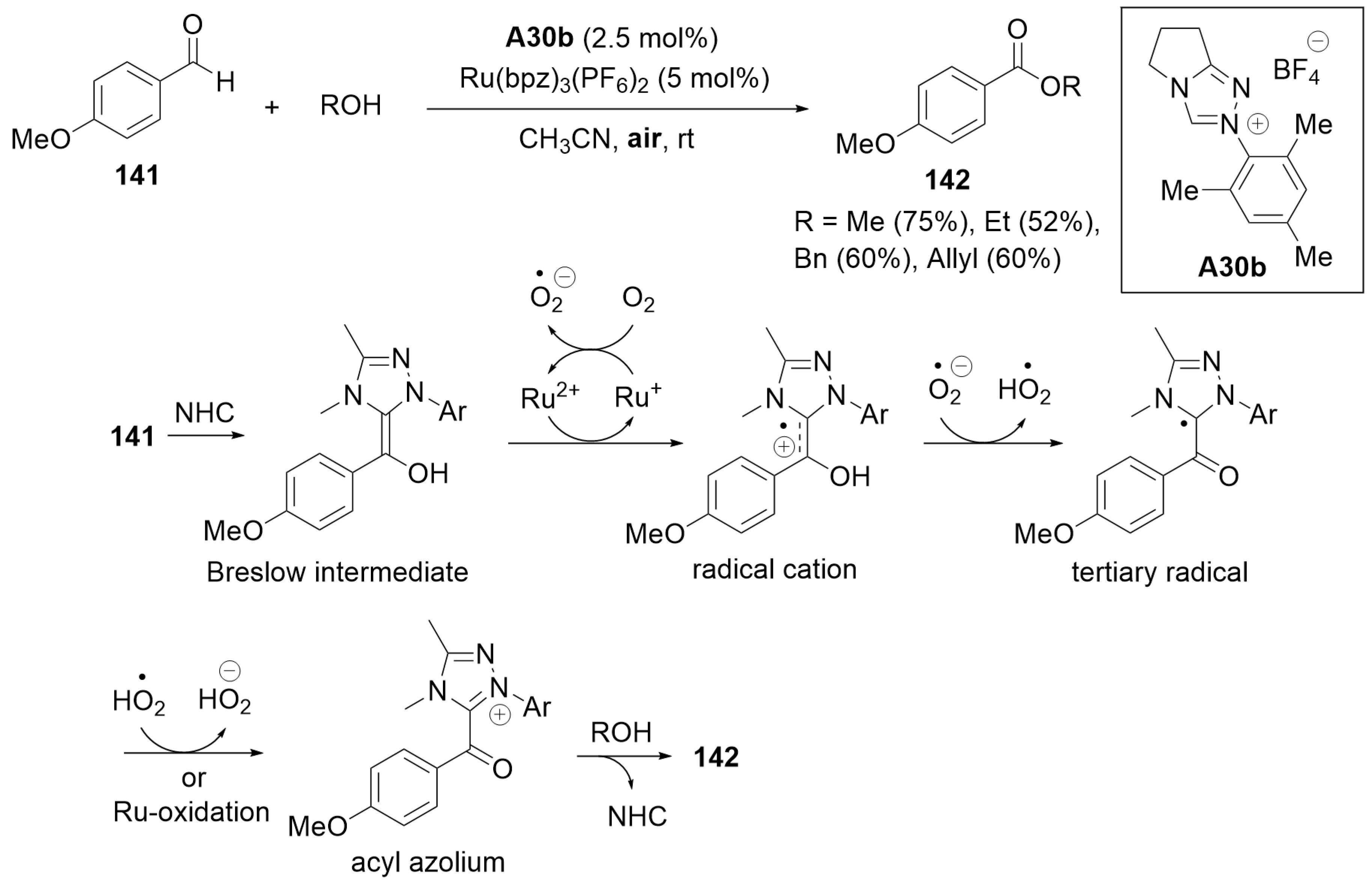 Catalysts 14 00219 sch046