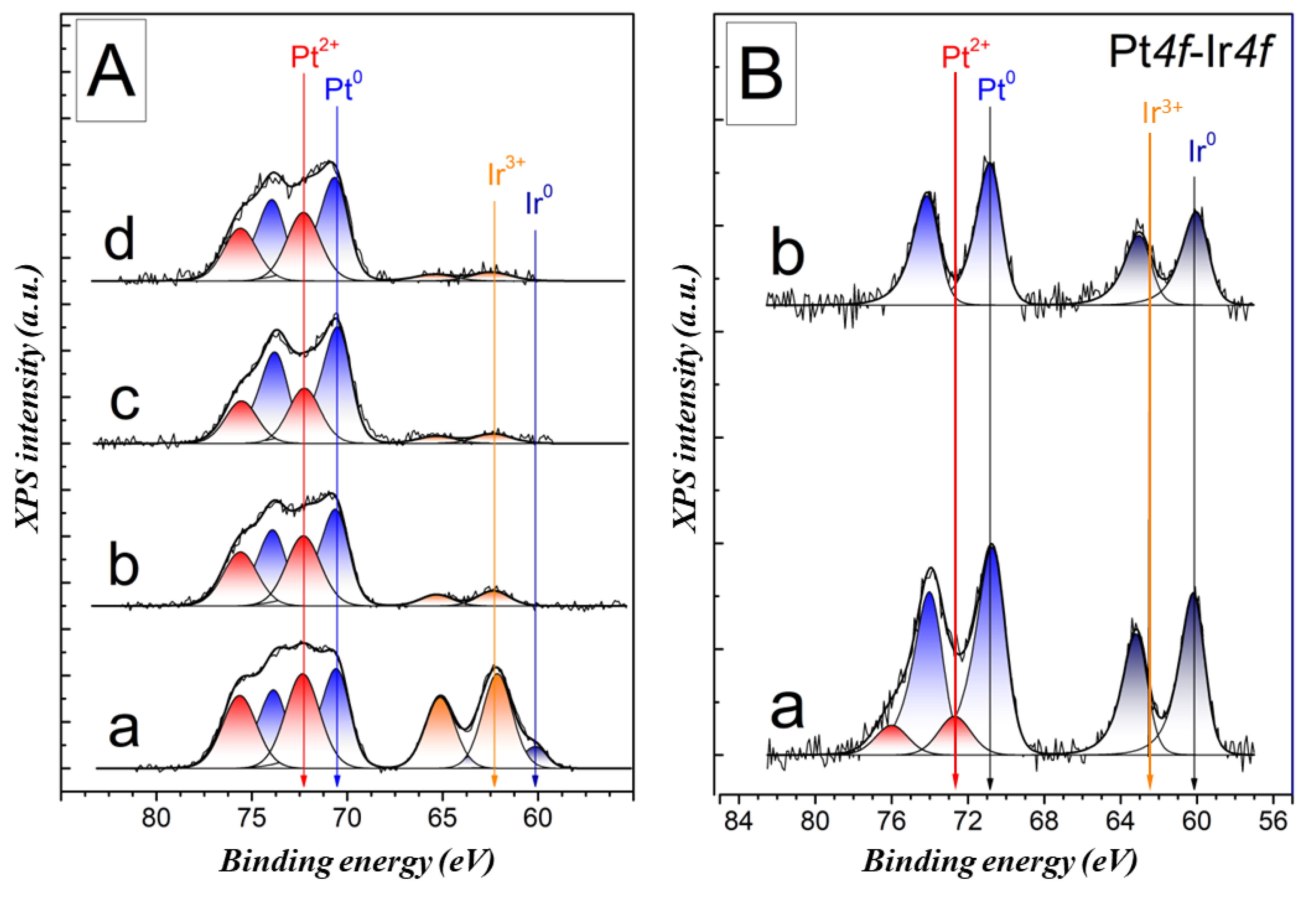 Catalysts 14 00225 g002