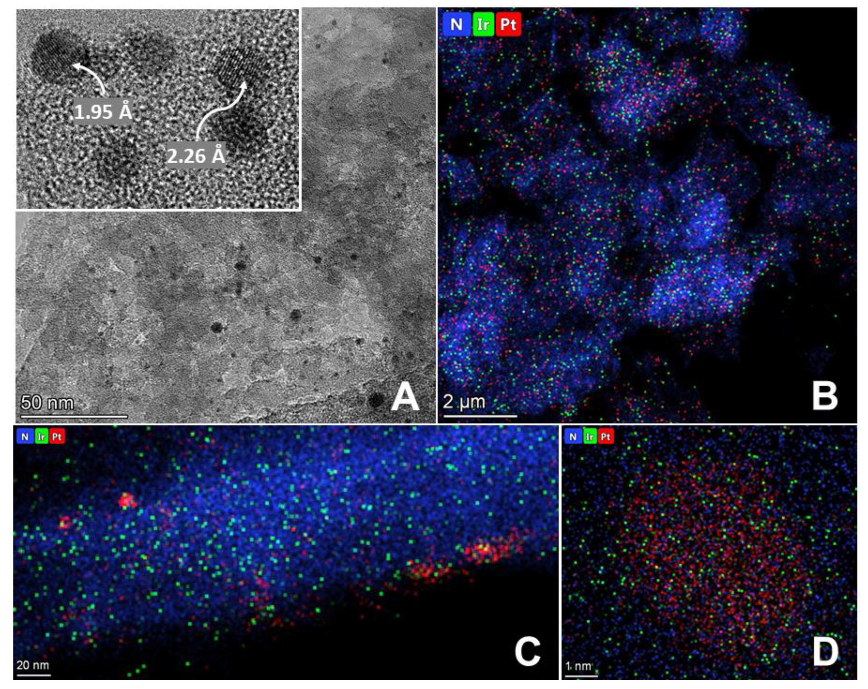 Catalysts 14 00225 g003