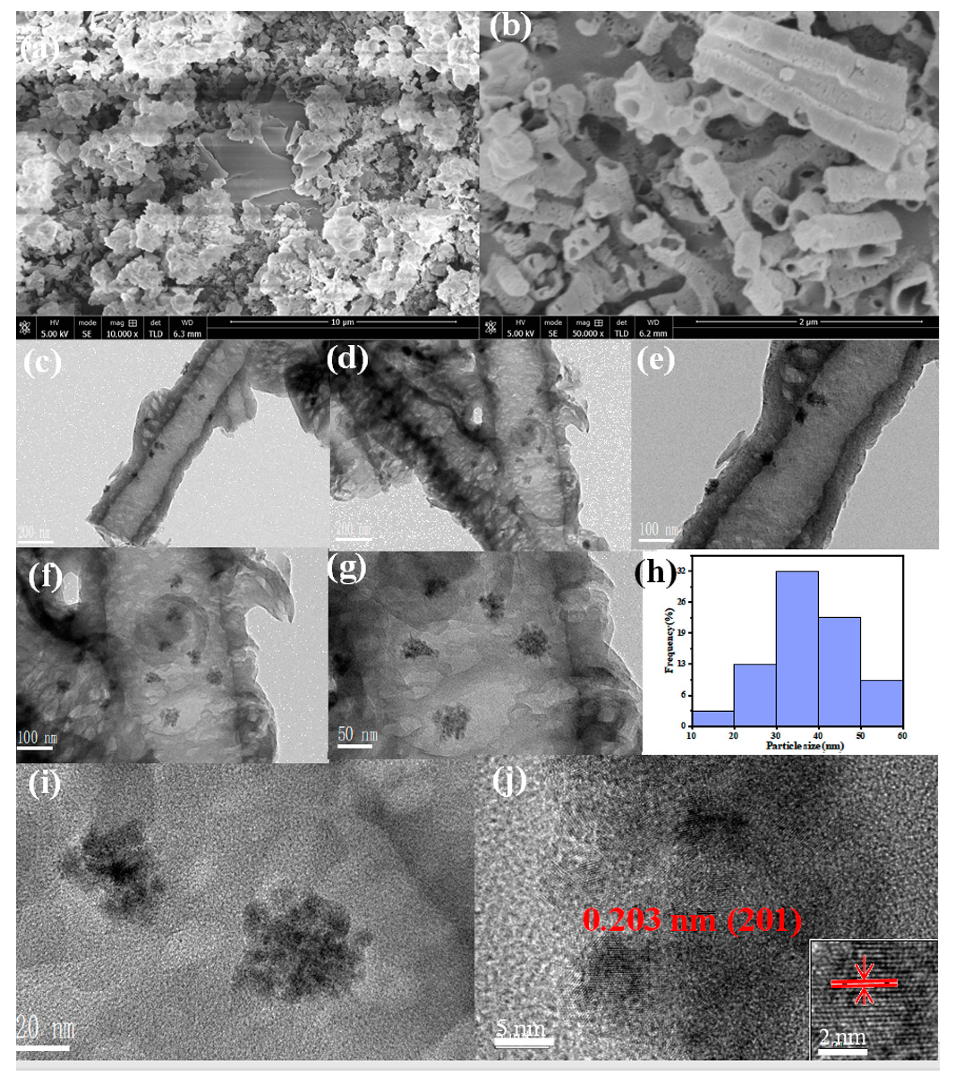 Catalysts 14 00243 g003 Catalysts 14 00243 g003