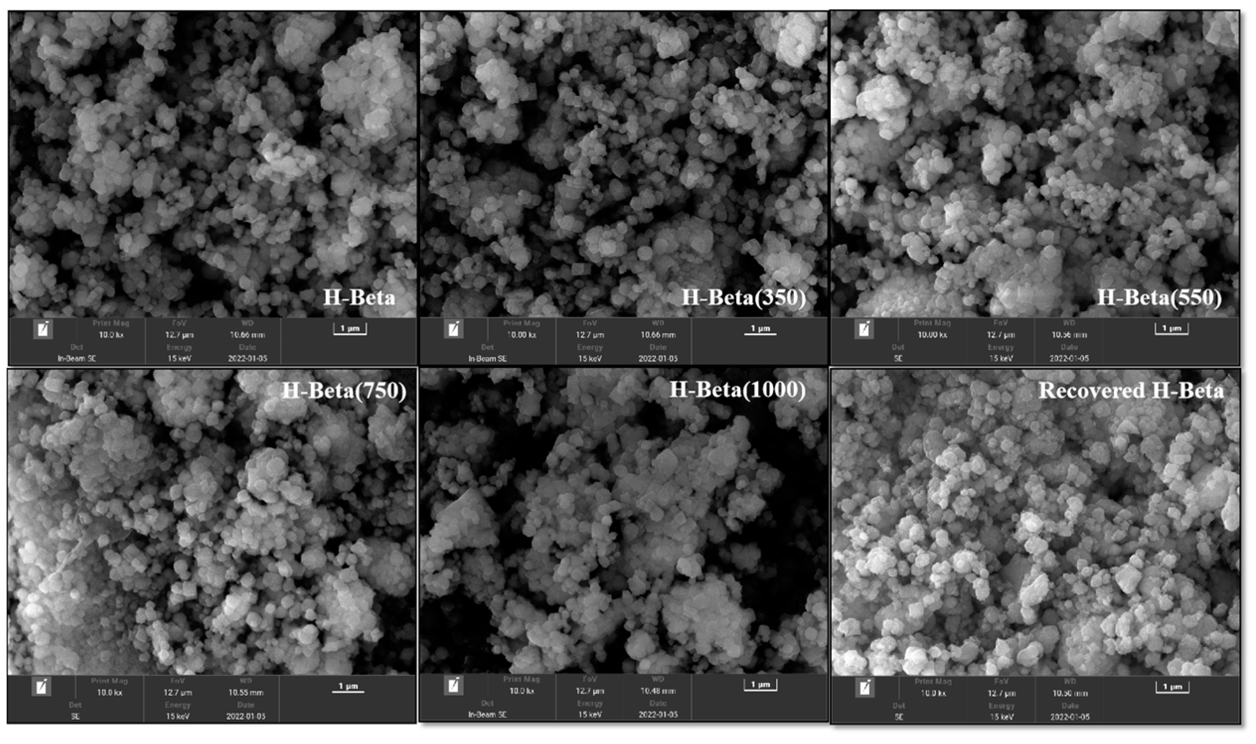 Catalysts 14 00248 g002