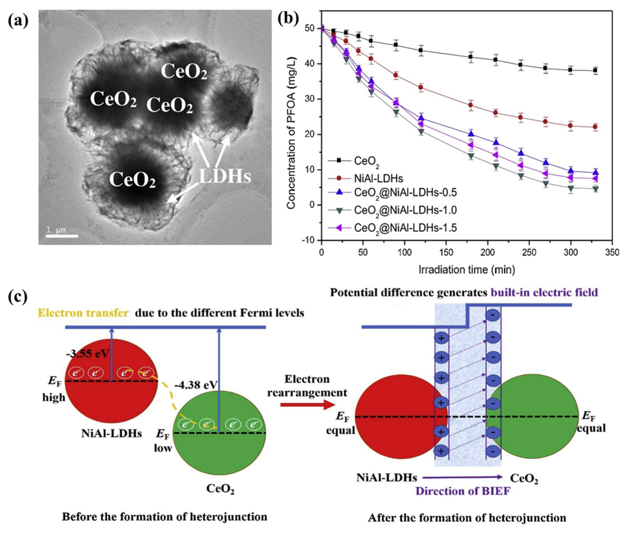Catalysts 14 00252 g011