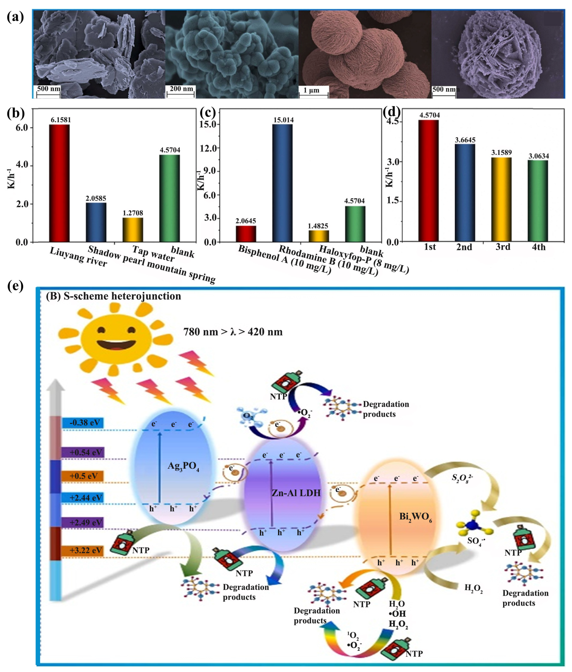 Catalysts 14 00252 g012