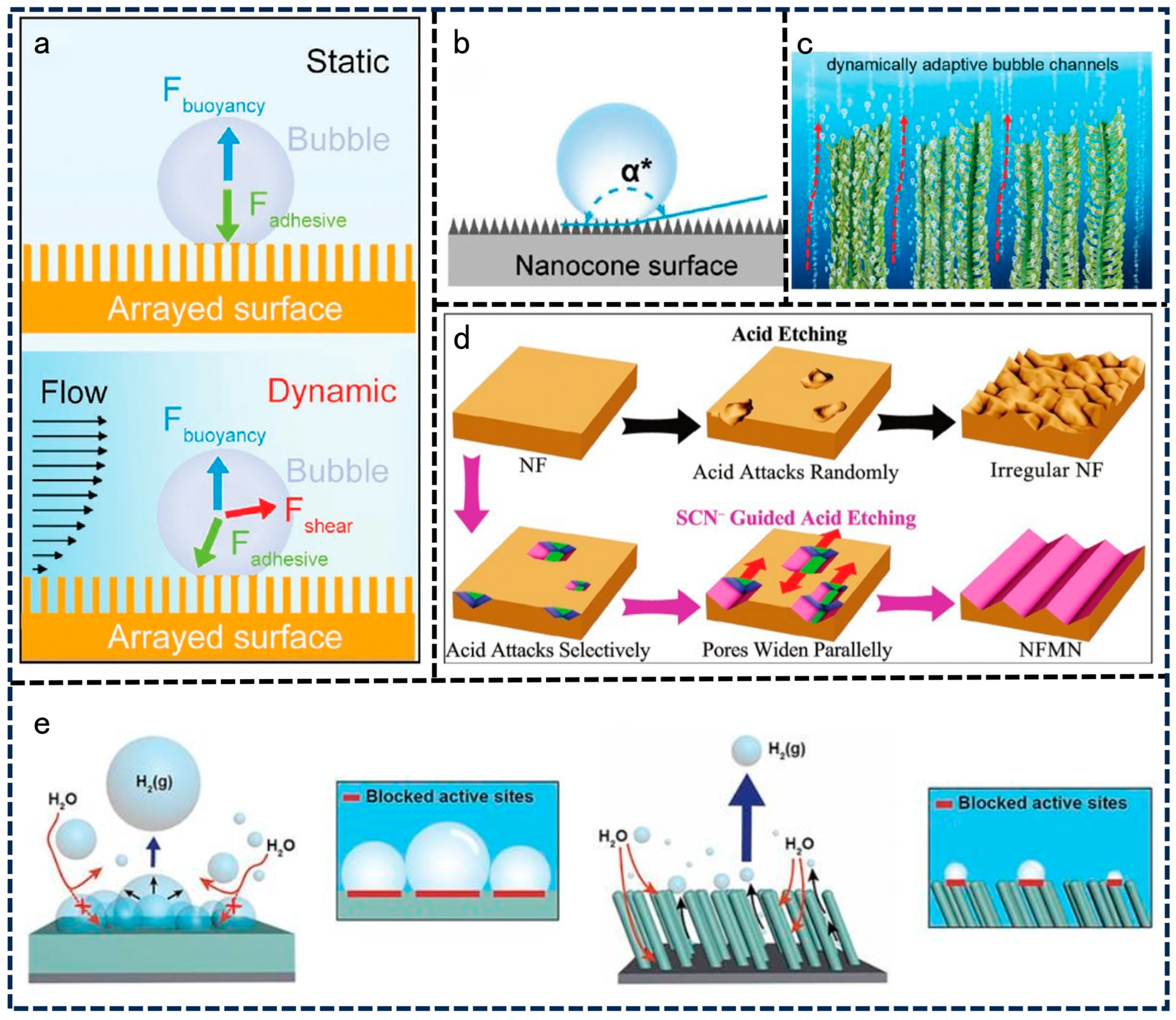 Catalysts 14 00254 g008
