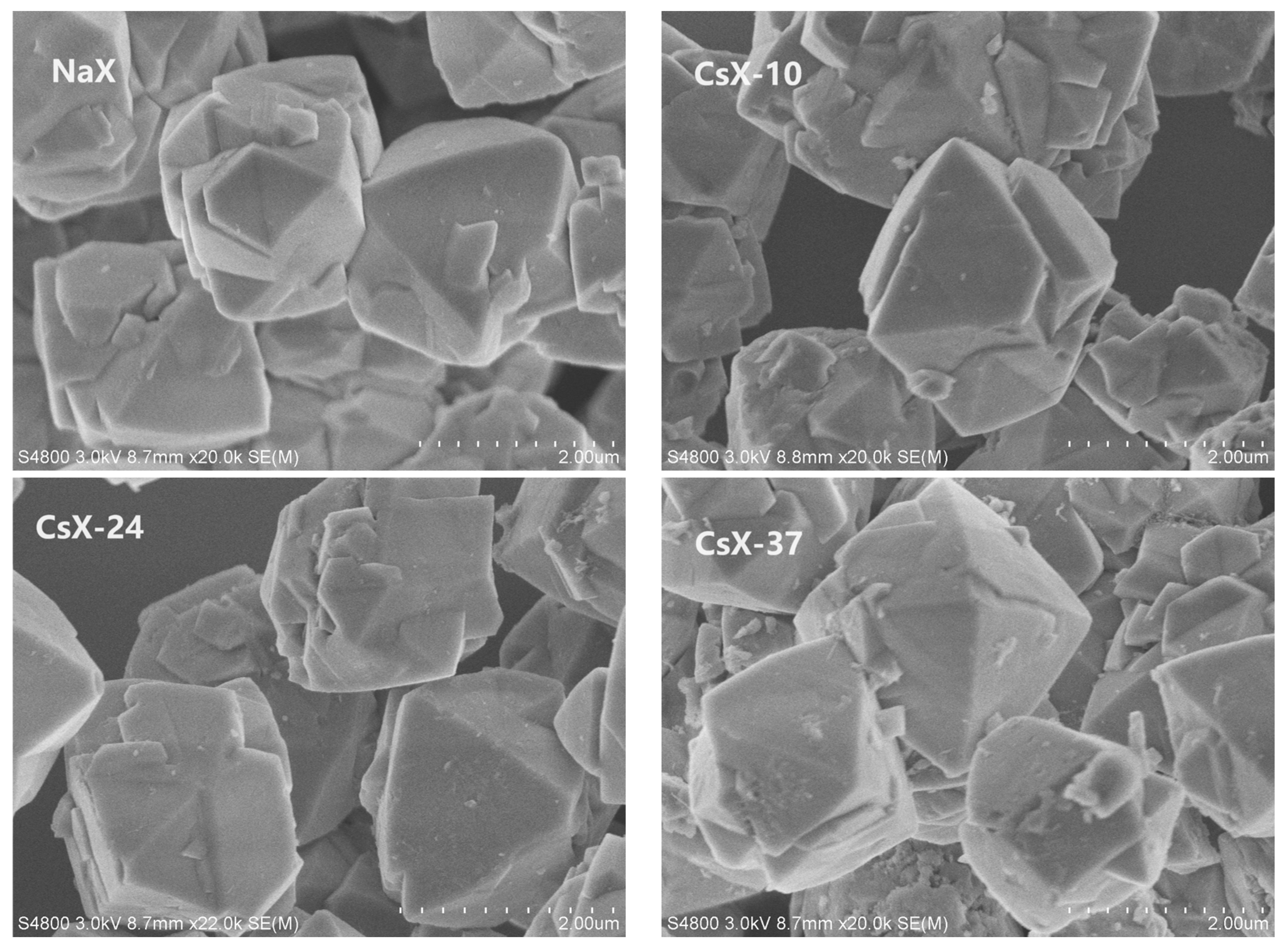 Catalysts 14 00256 g003 Catalysts 14 00256 g003