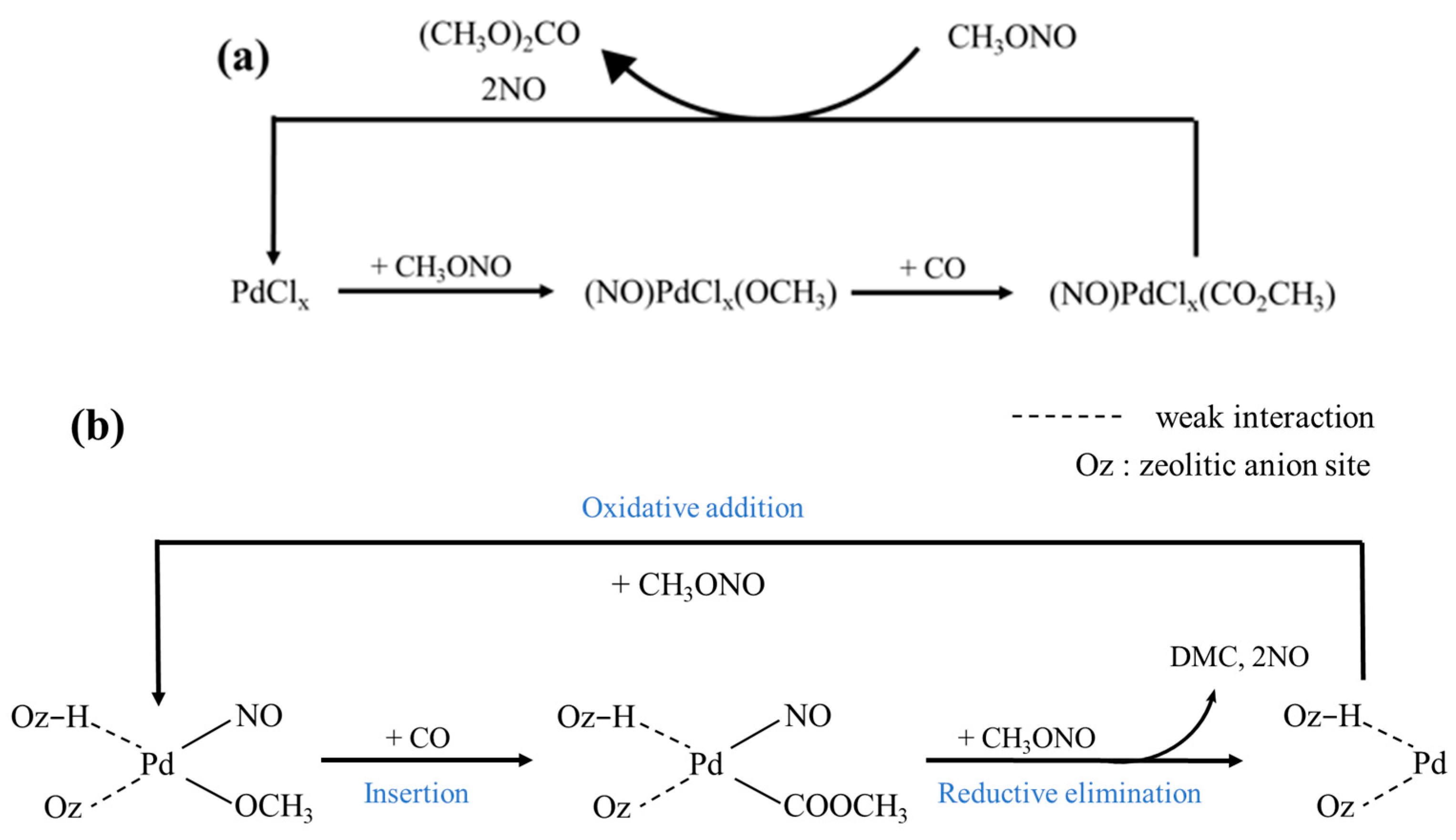 Catalysts 14 00259 g003