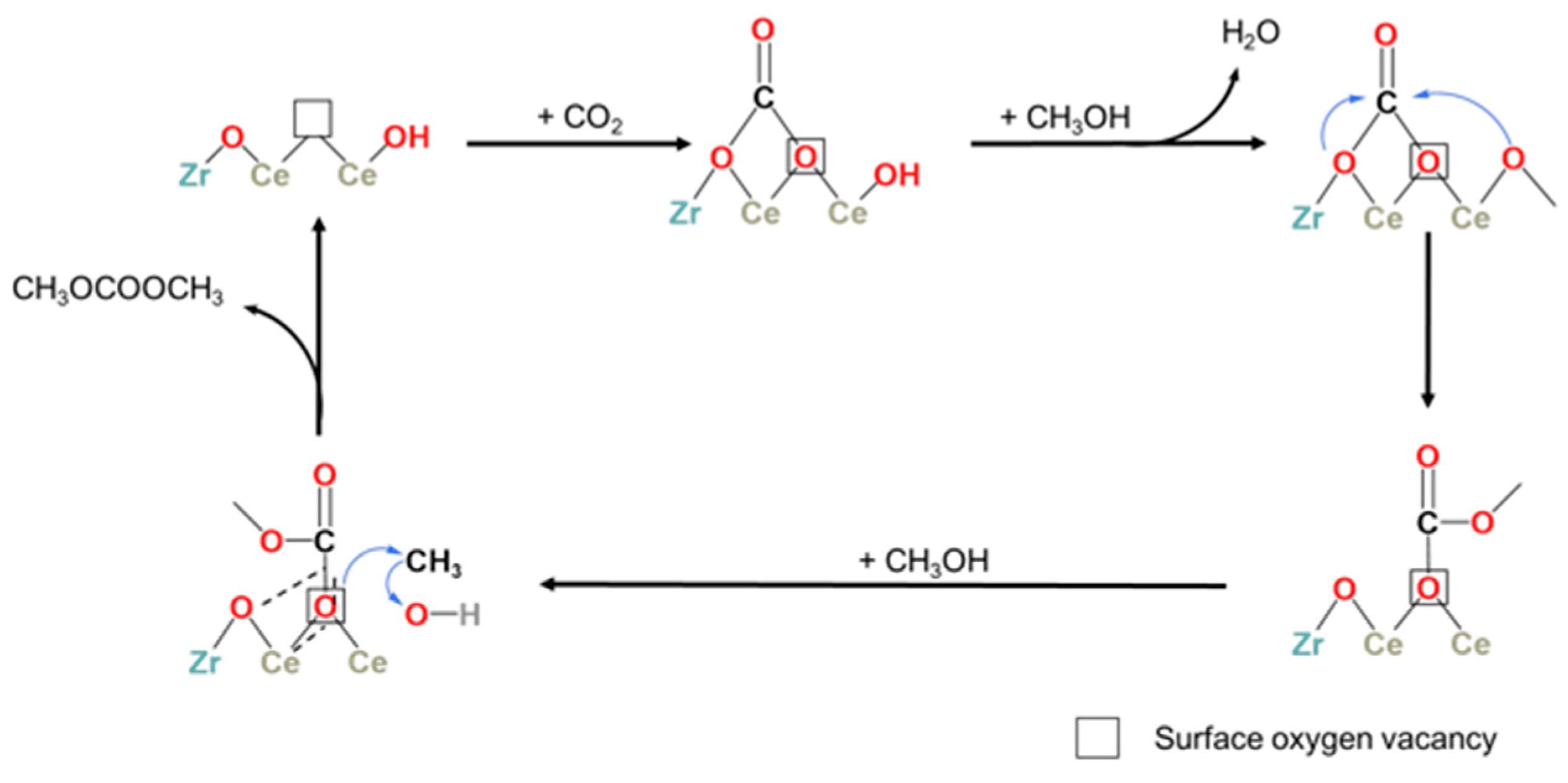 Catalysts 14 00259 g004