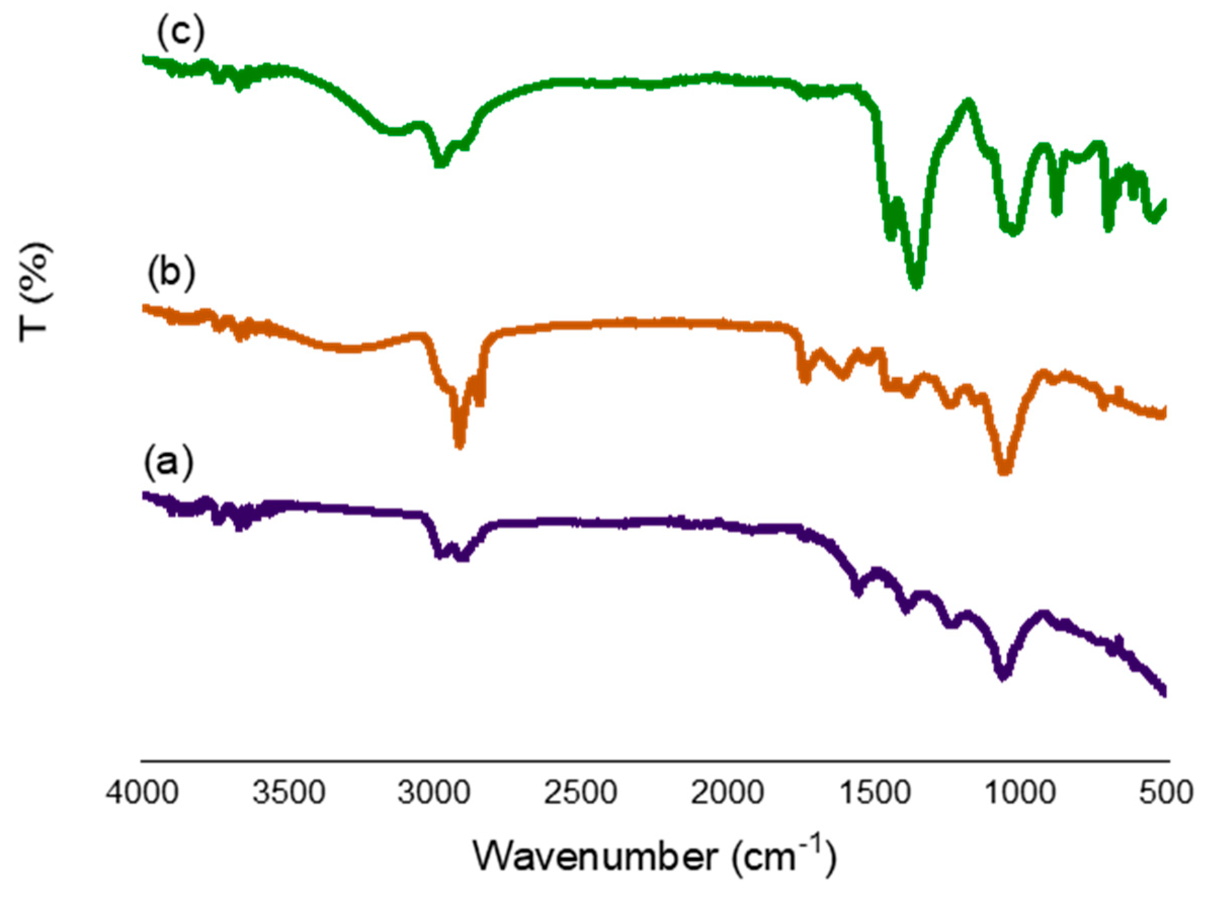 Catalysts 14 00261 g002