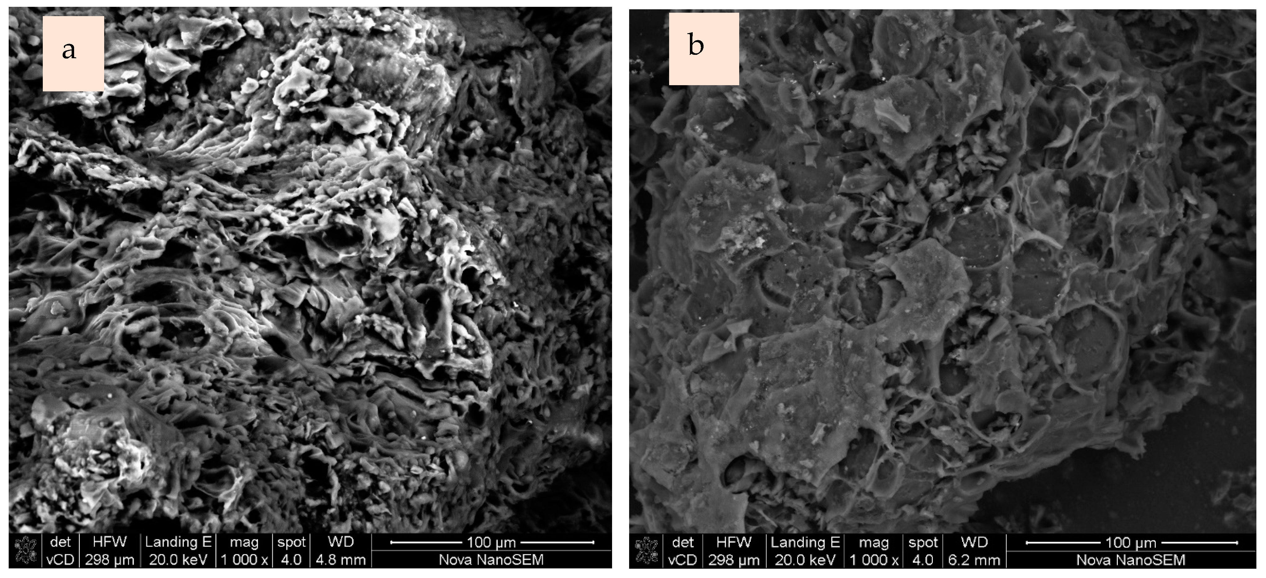 Catalysts 14 00261 g004a