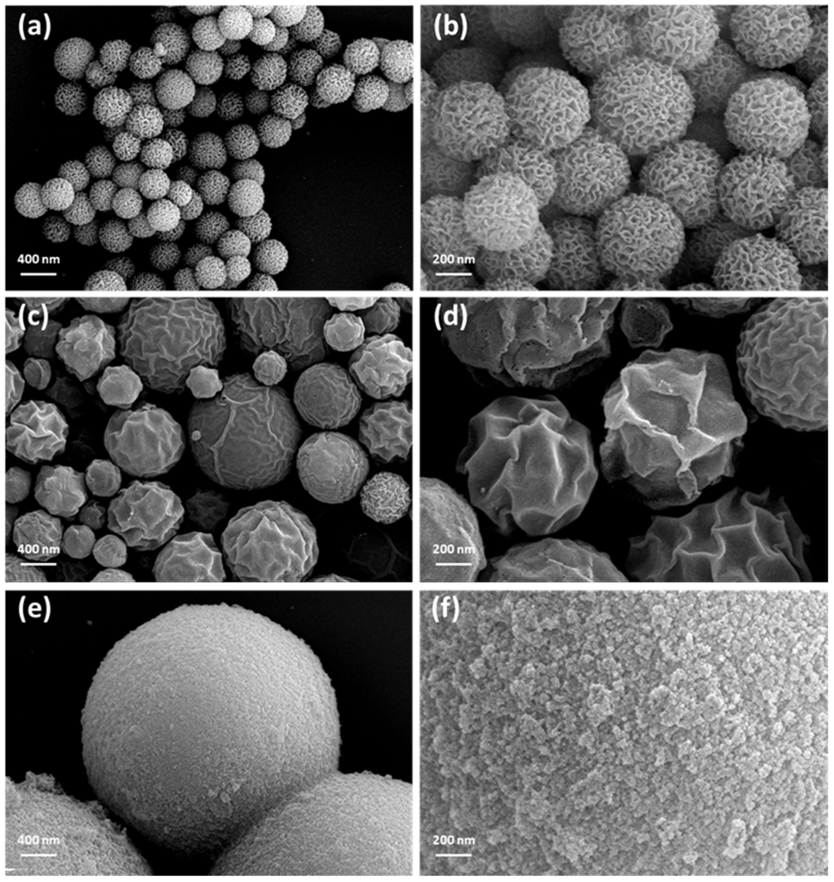 Catalysts 14 00265 g001