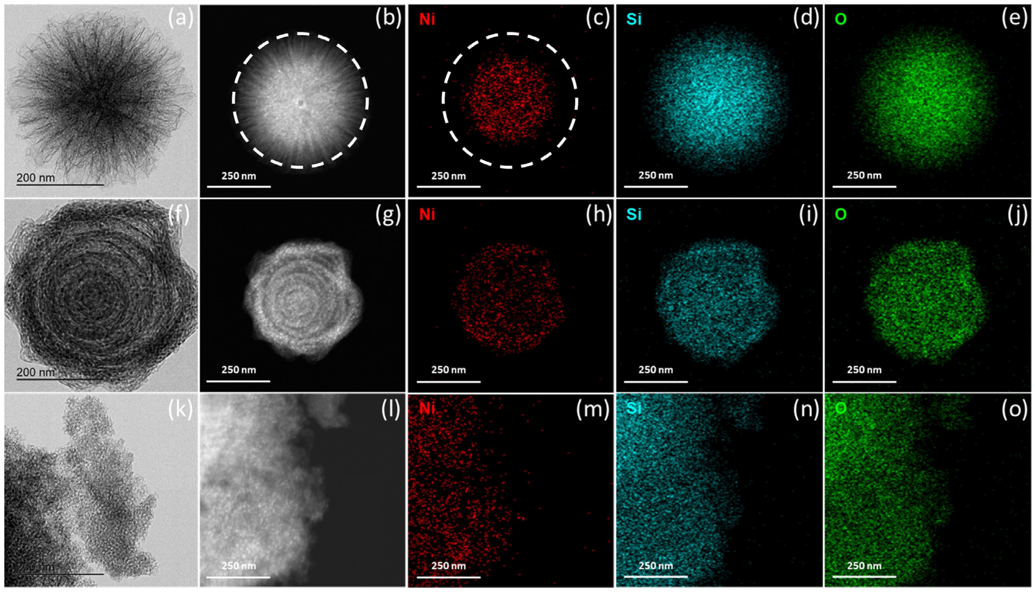 Catalysts 14 00265 g002
