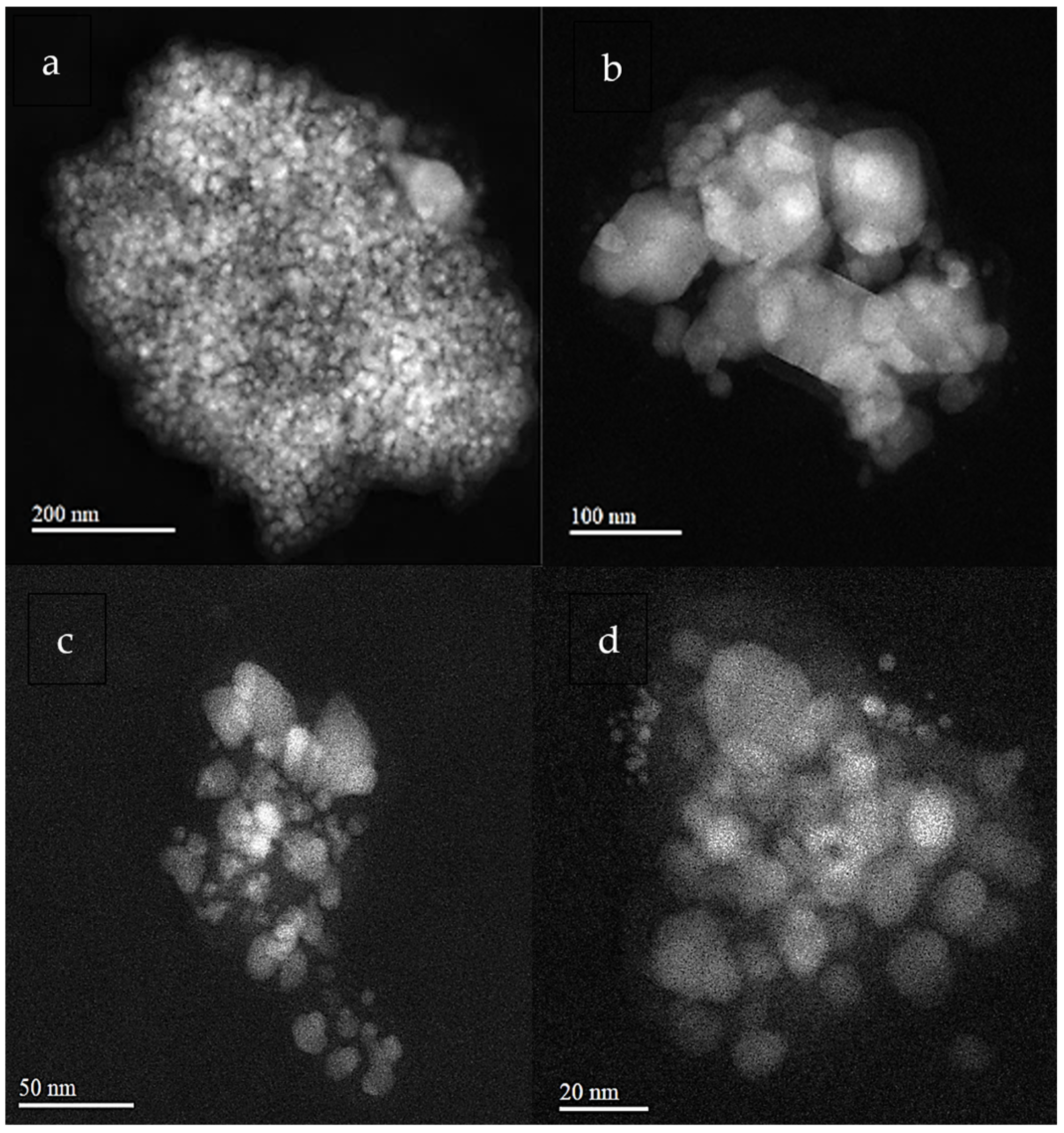 Catalysts 14 00271 g004