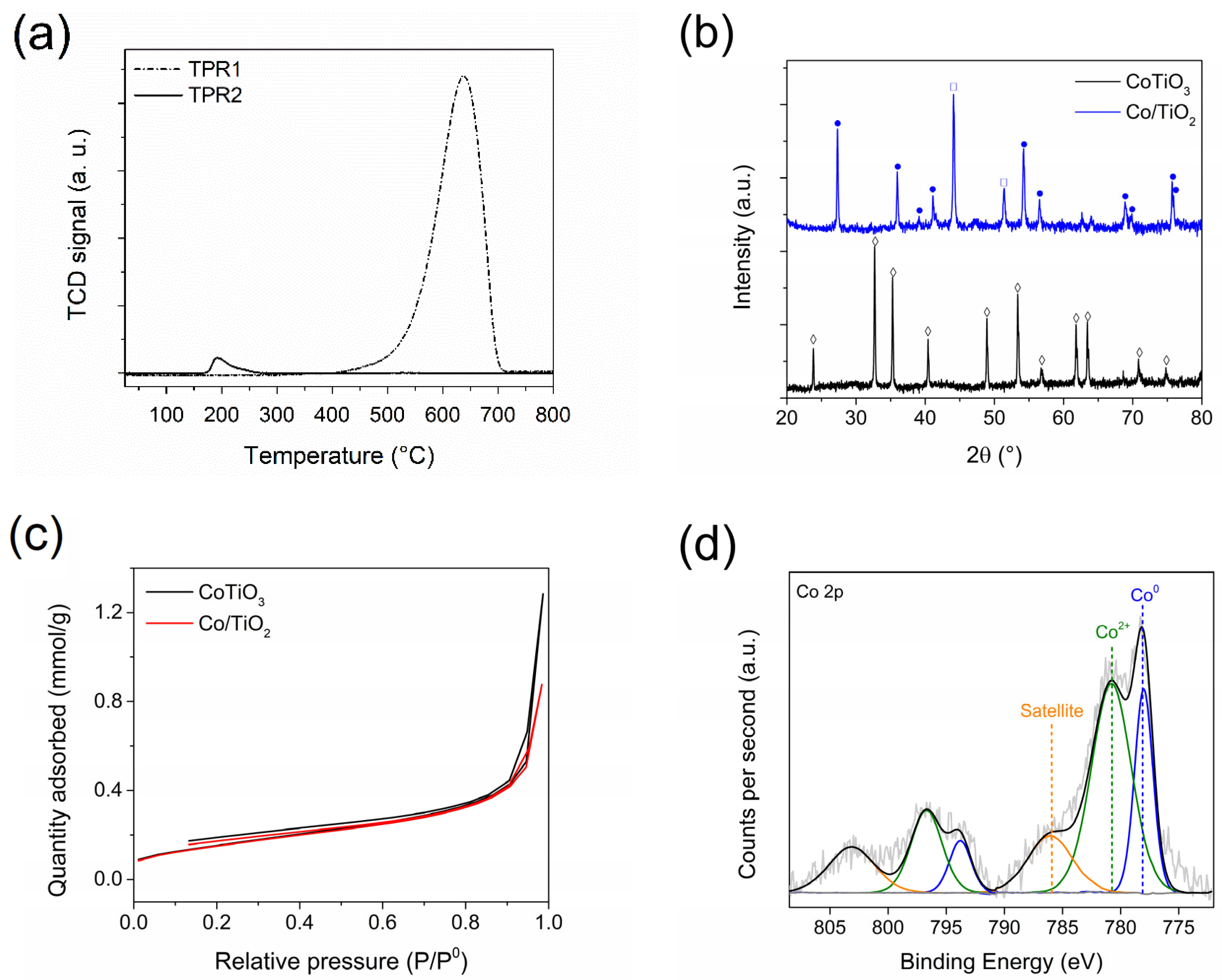 Catalysts 14 00272 g001