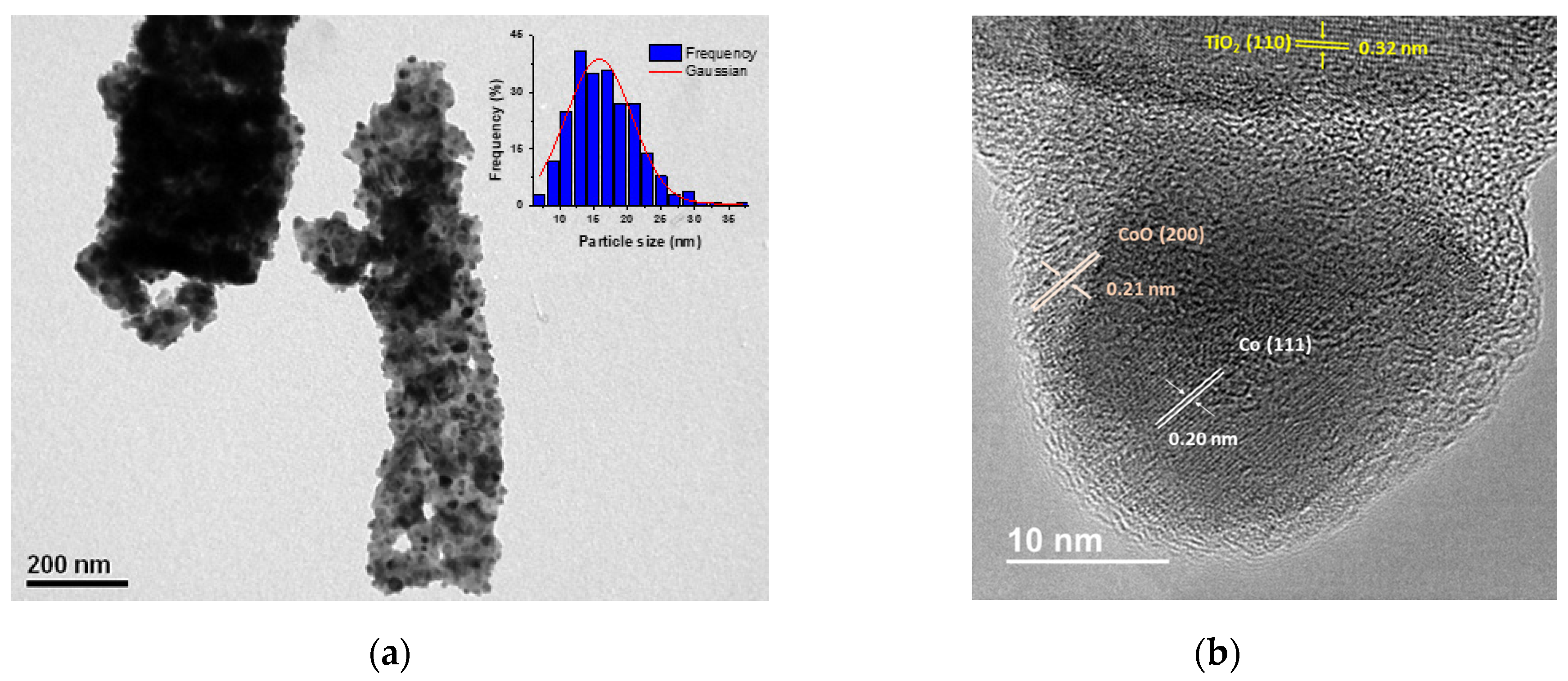 Catalysts 14 00272 g002