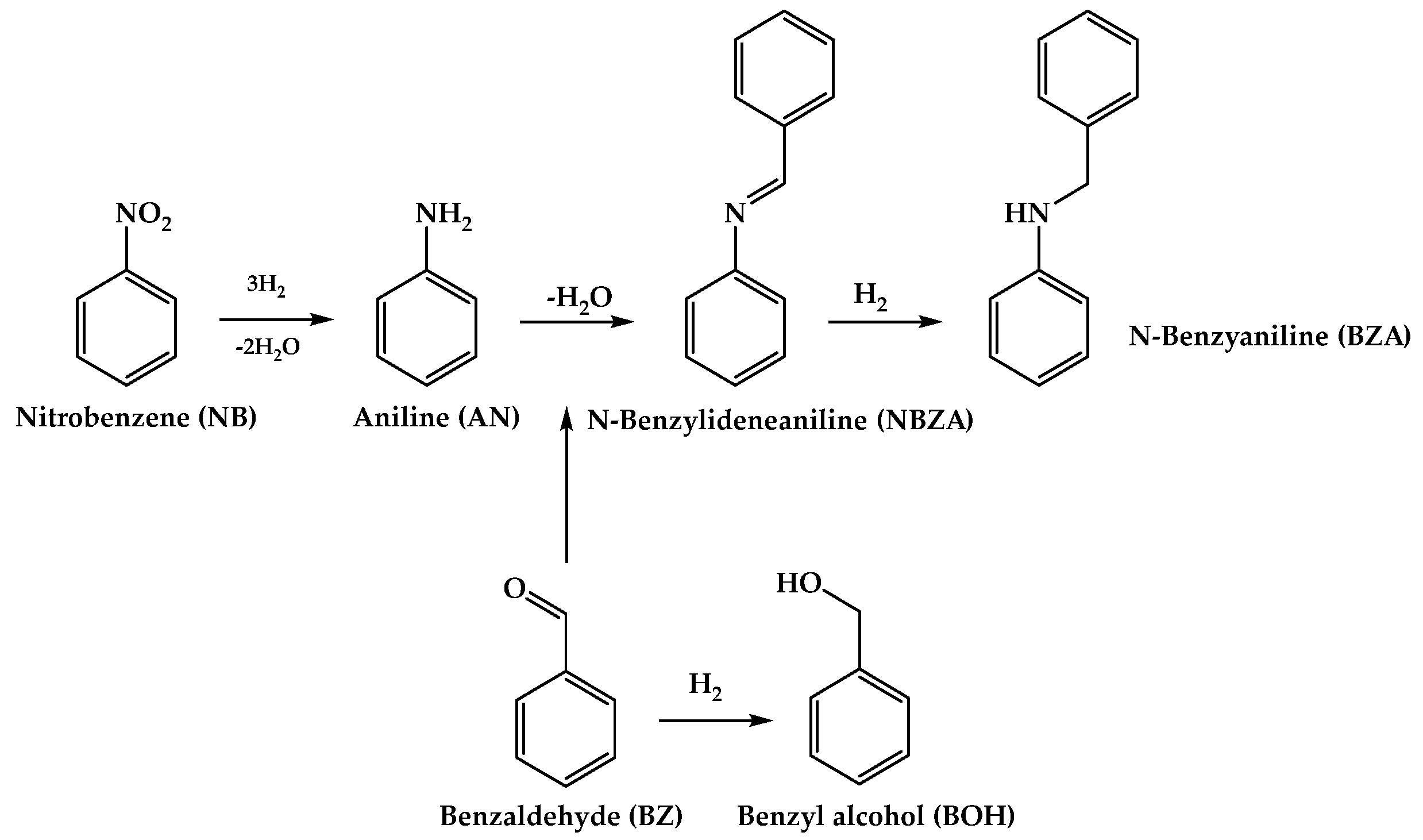 Catalysts 14 00272 sch001