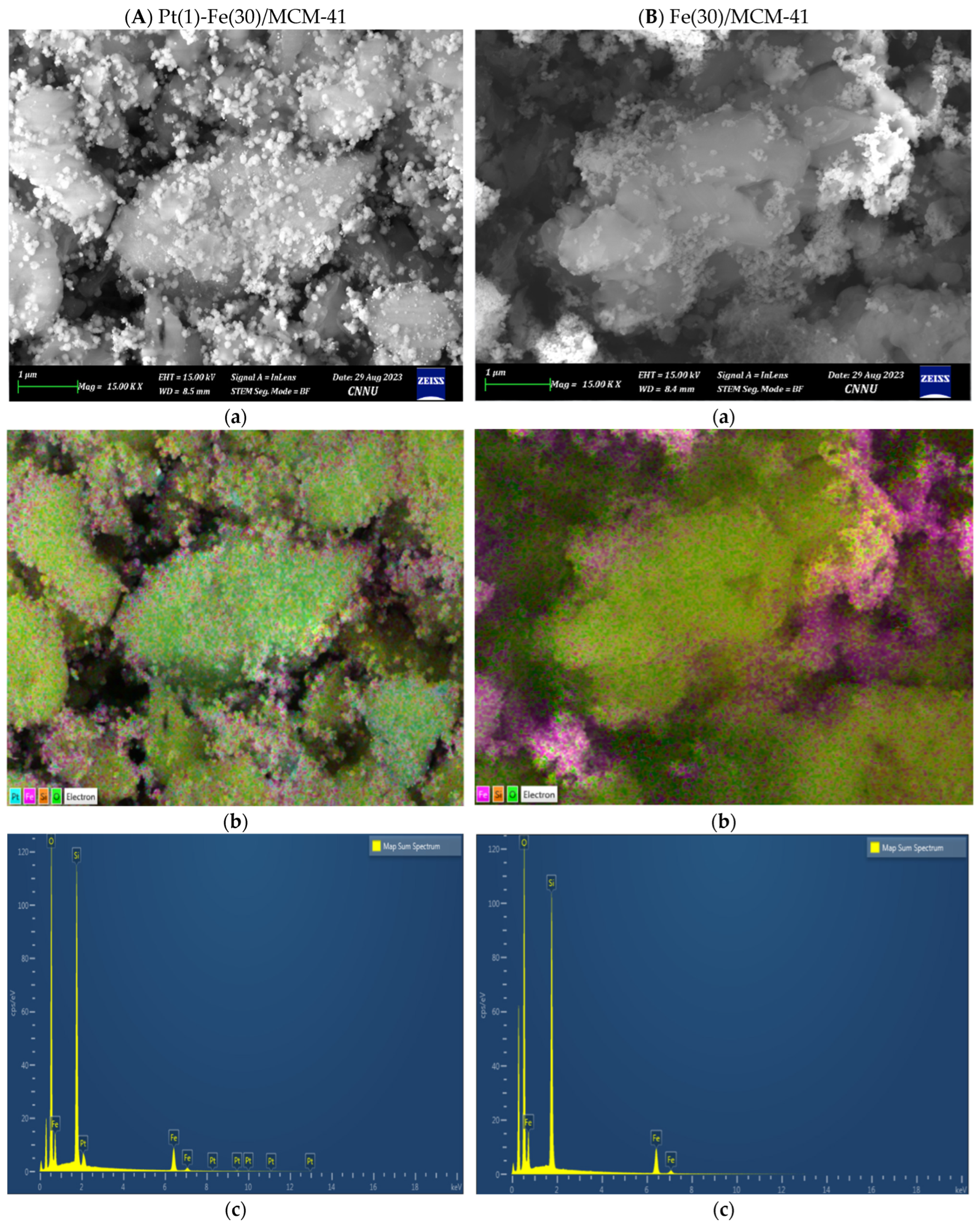 Catalysts 14 00282 g007