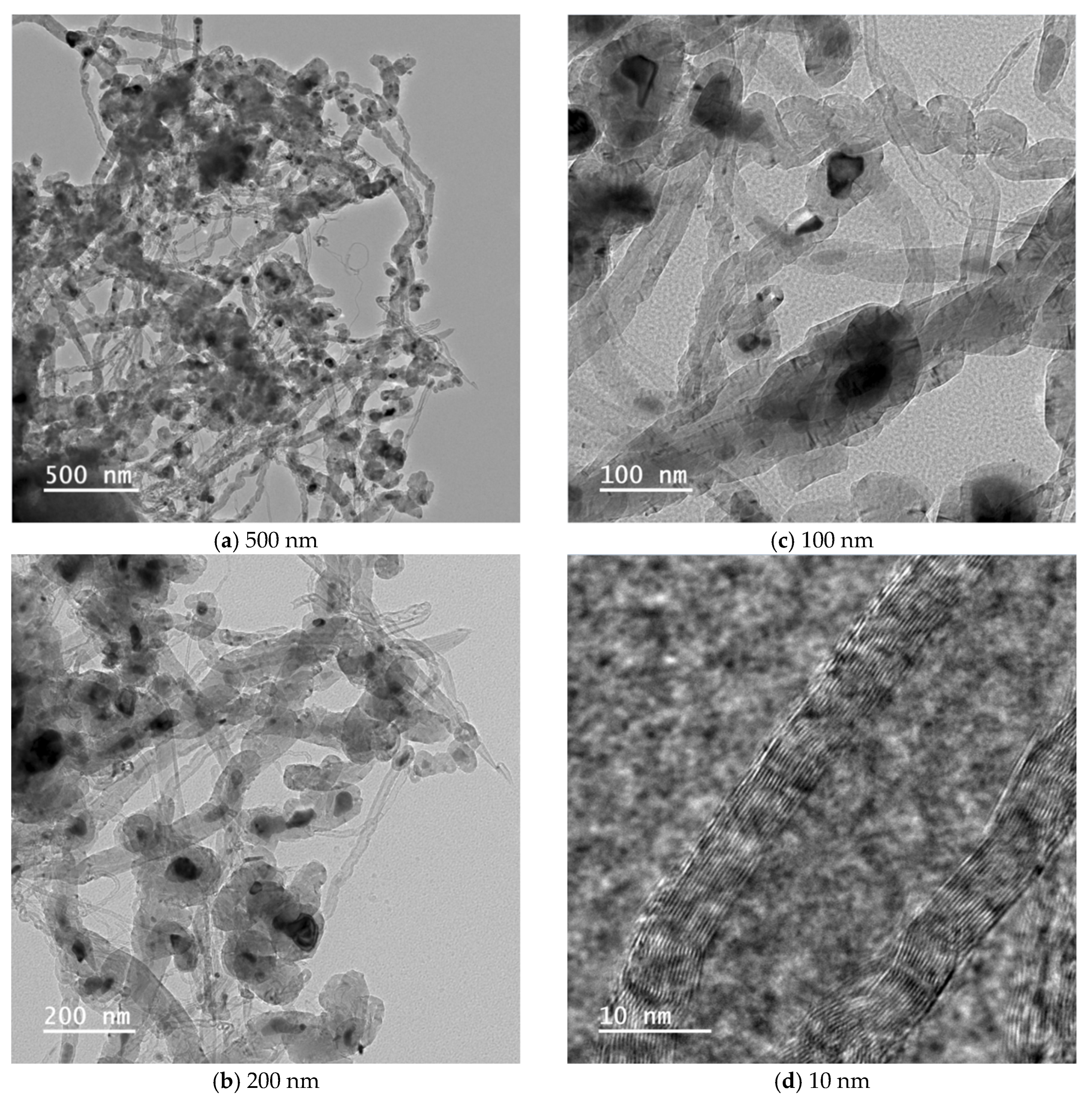 Catalysts 14 00282 g009