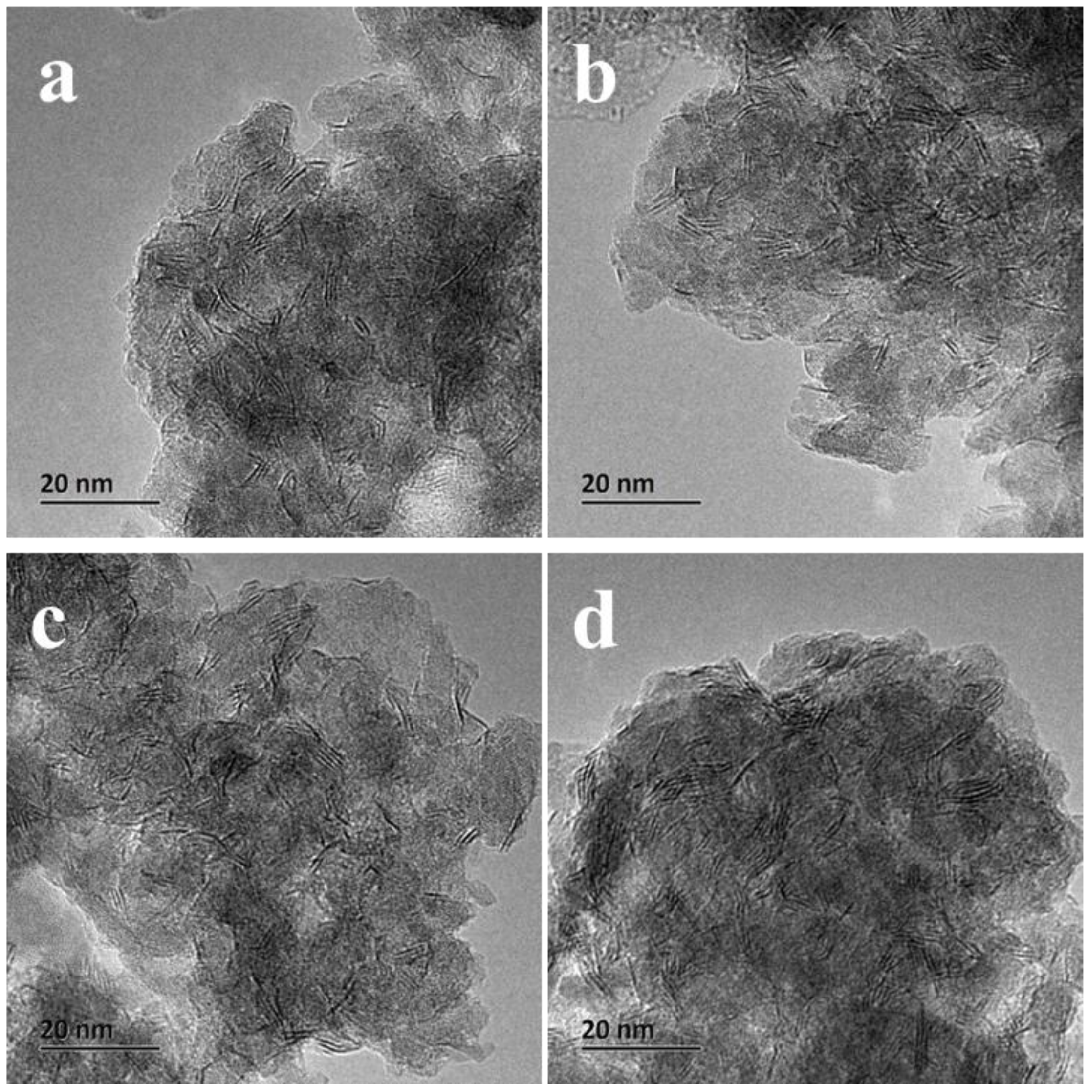 Catalysts 14 00287 g008