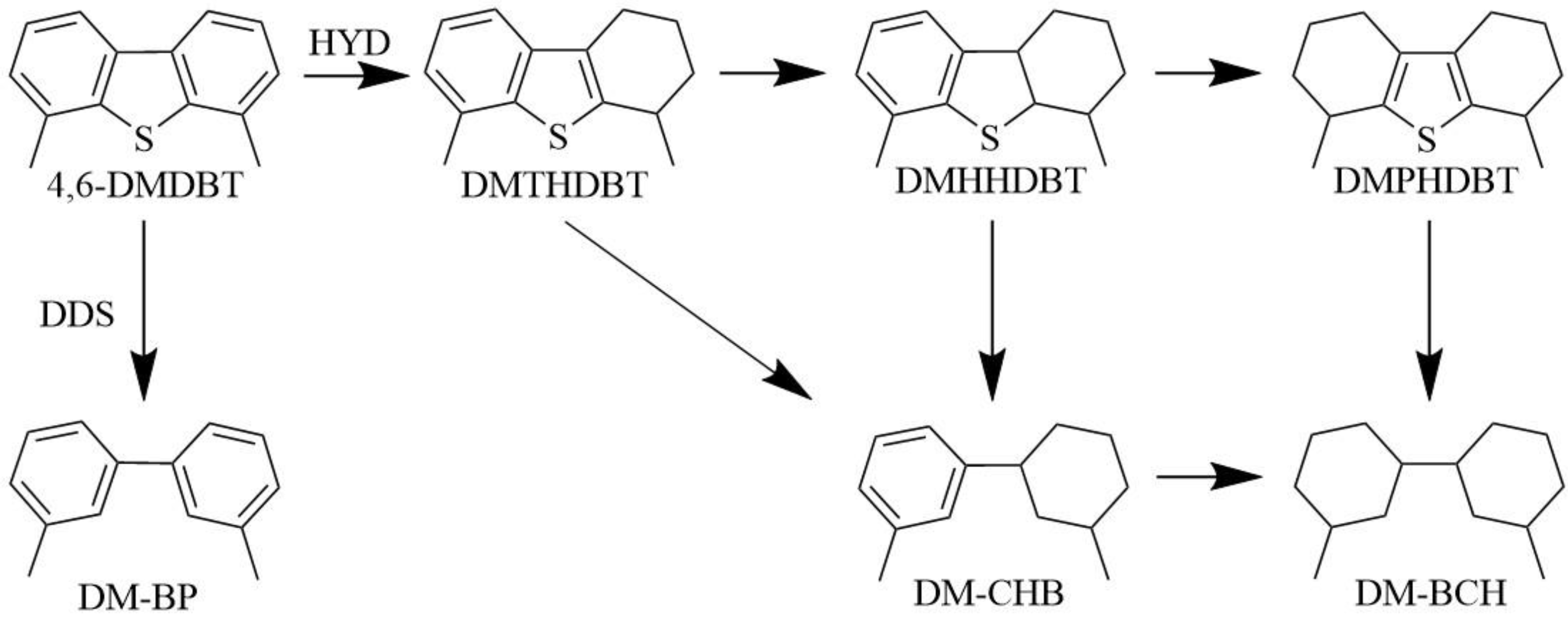 Catalysts 14 00287 sch001