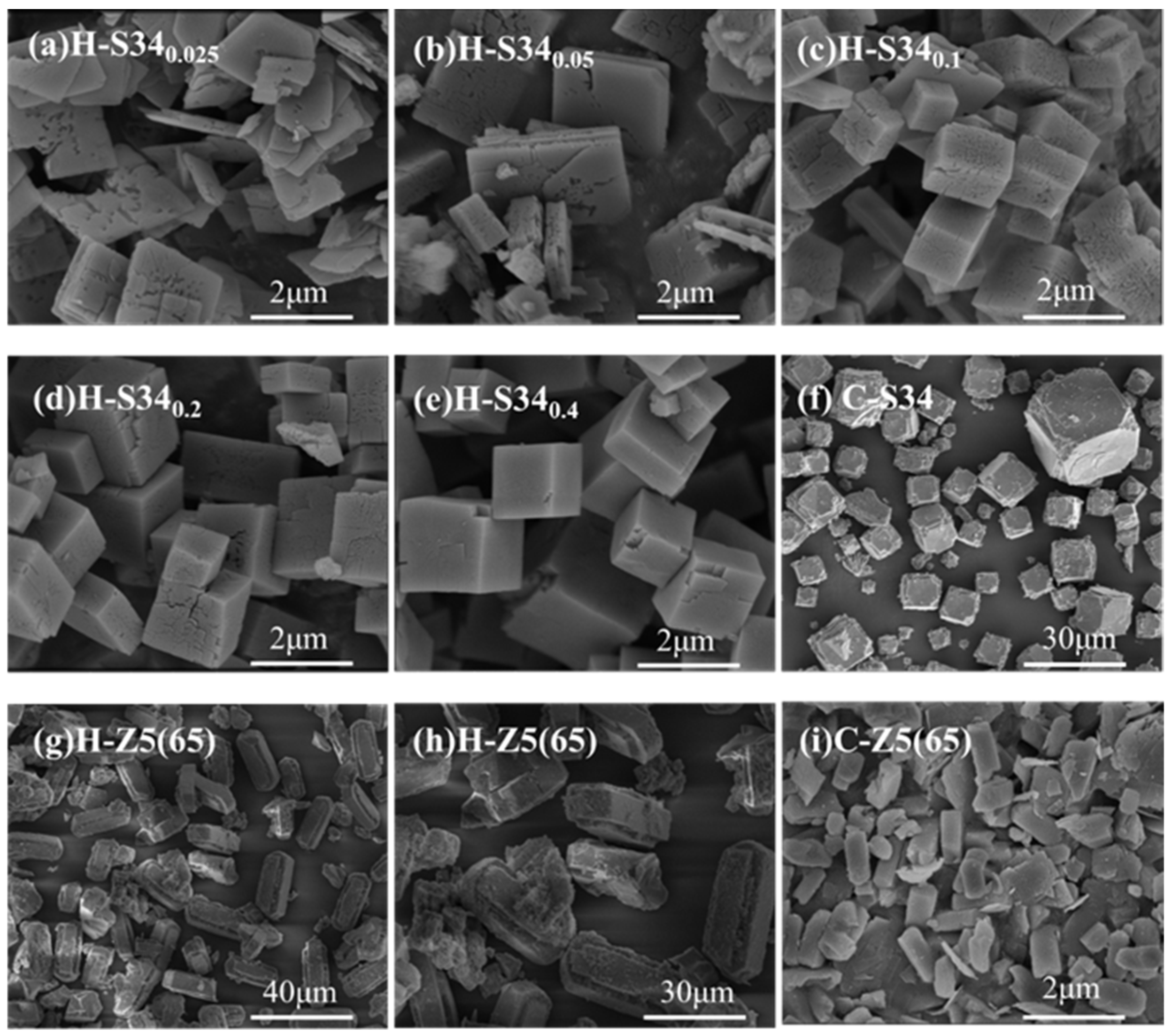Catalysts 14 00288 g003 Catalysts 14 00288 g003