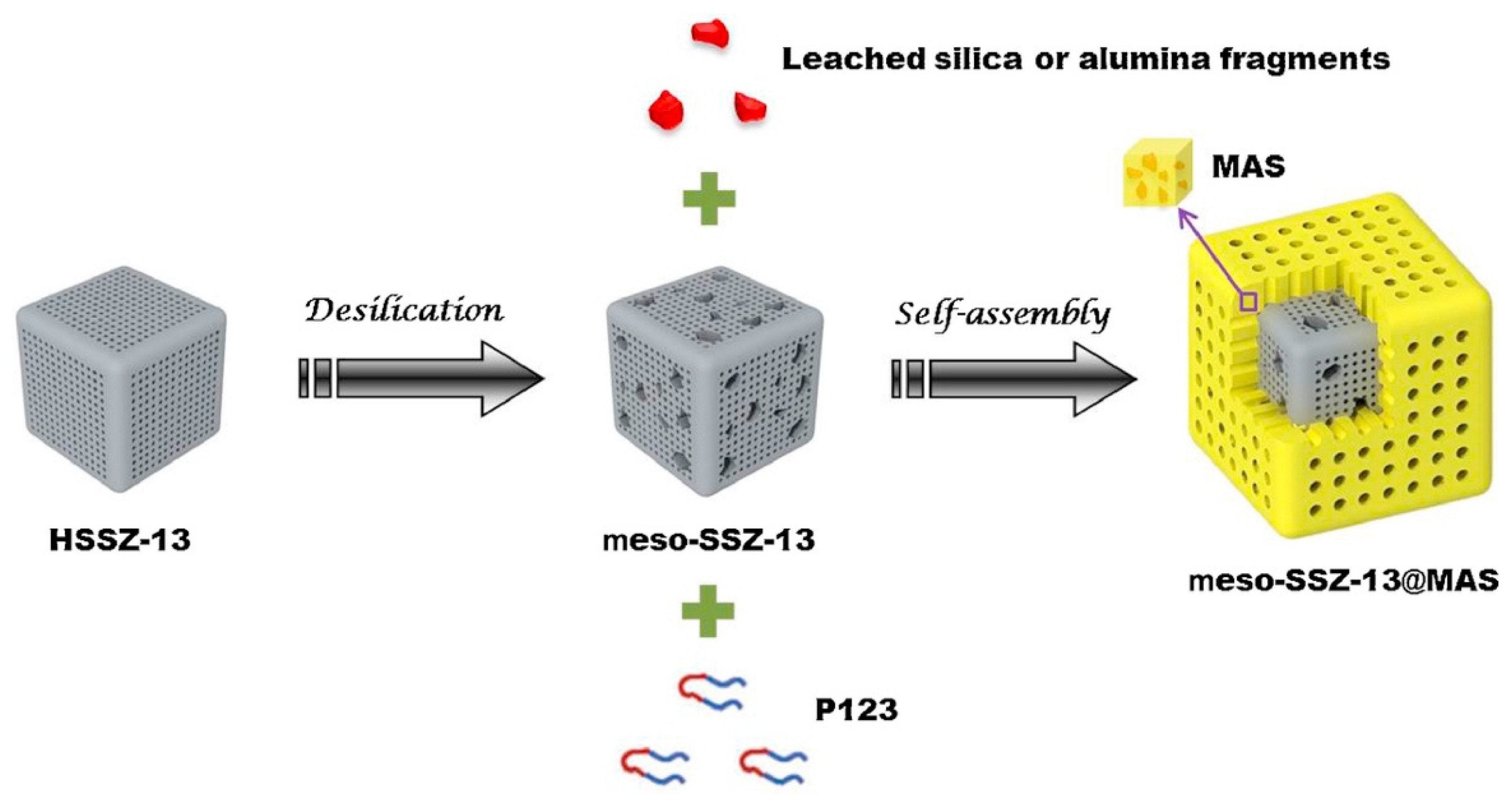 Catalysts 14 00290 g002