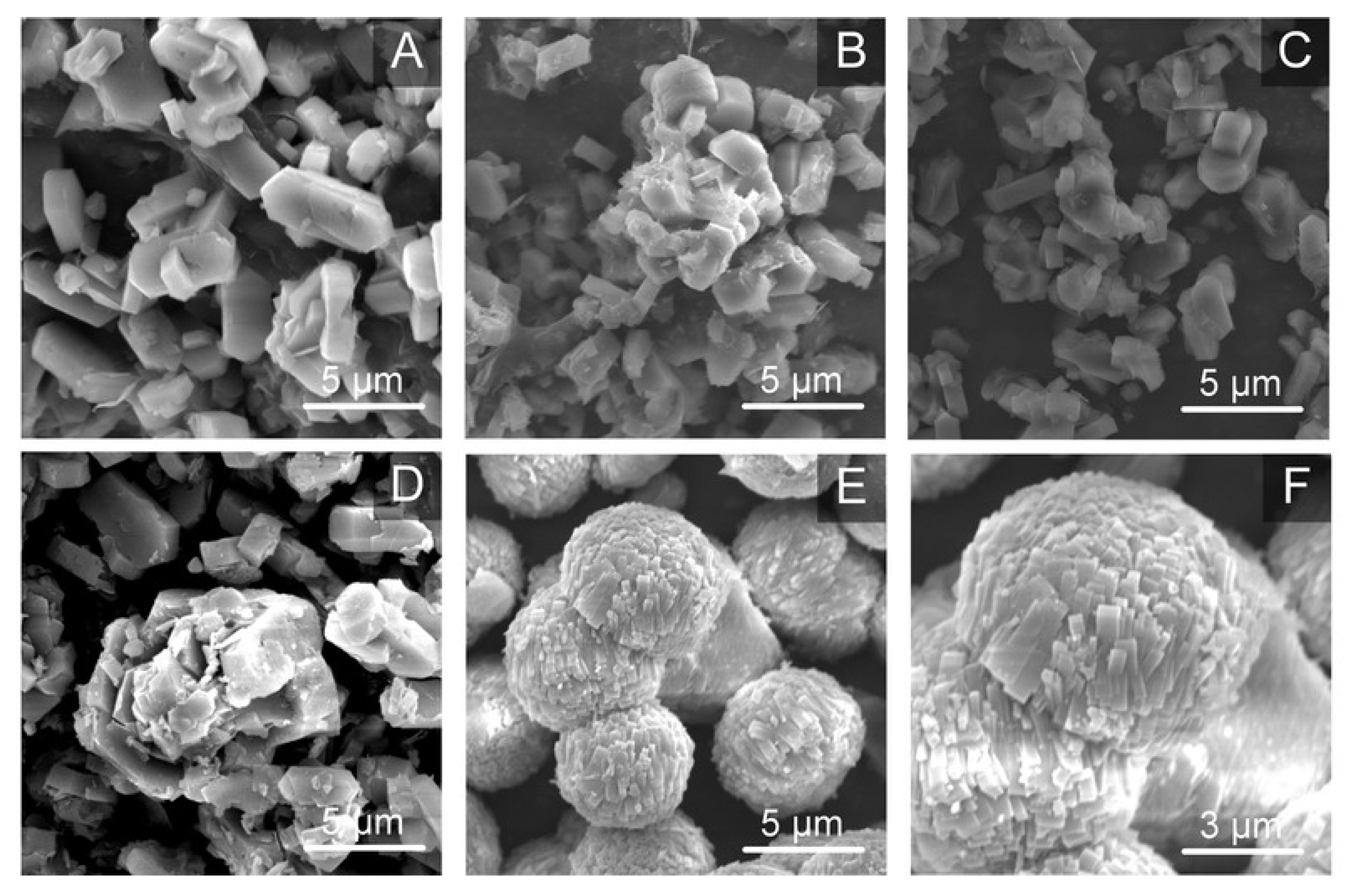 Catalysts 14 00290 g006