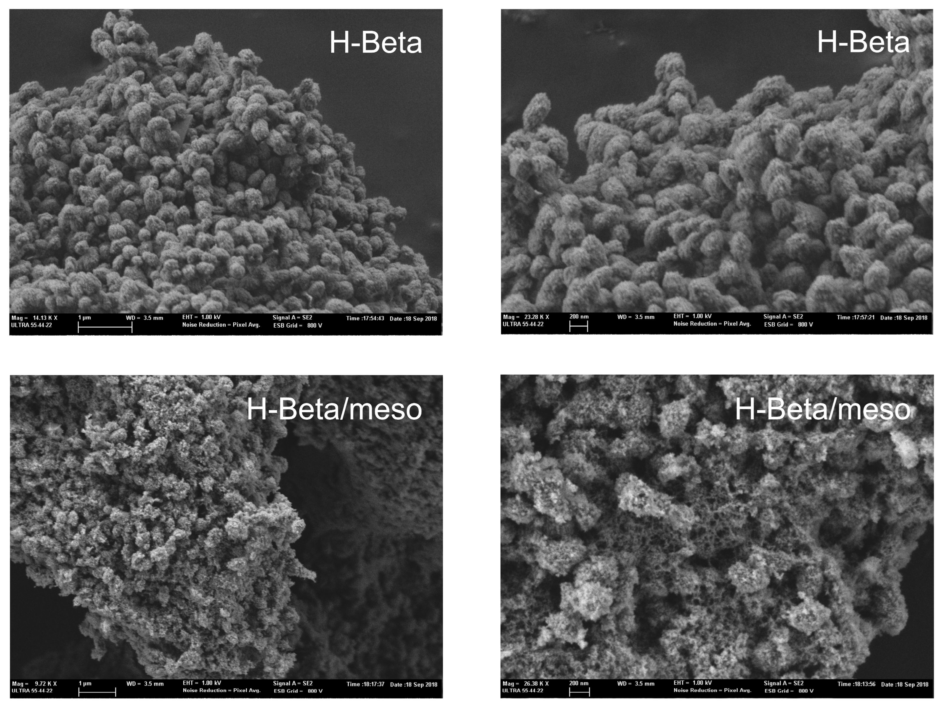 Catalysts 14 00290 g011