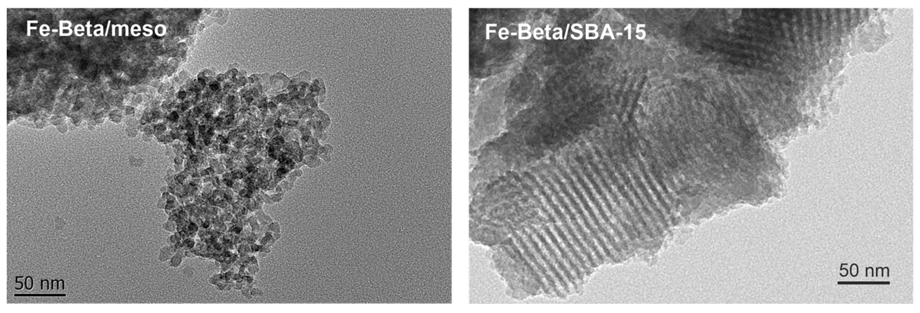 Catalysts 14 00290 g013