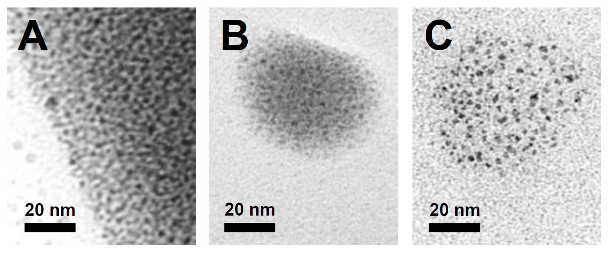 Catalysts 14 00295 g005