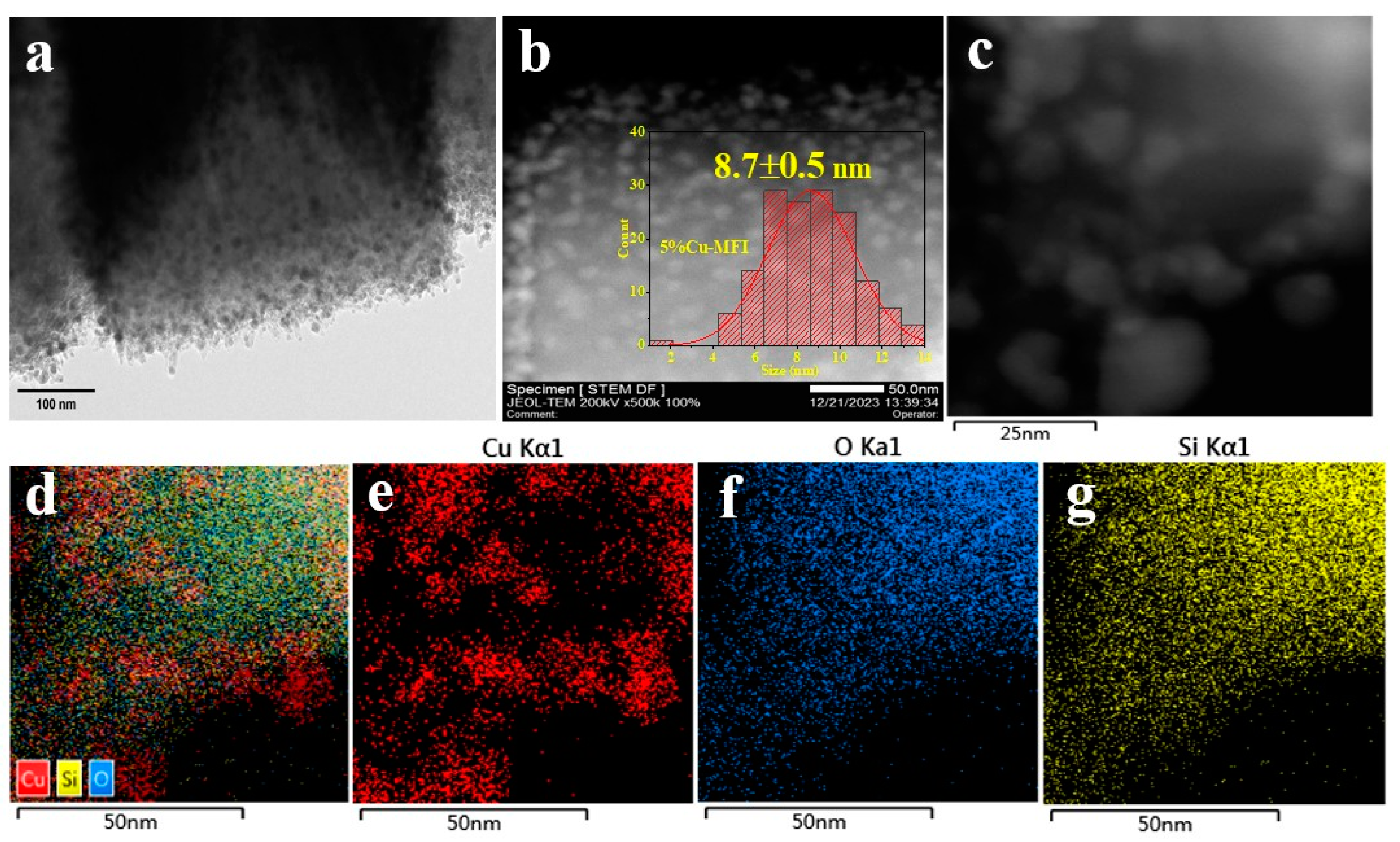 Catalysts 14 00297 g005