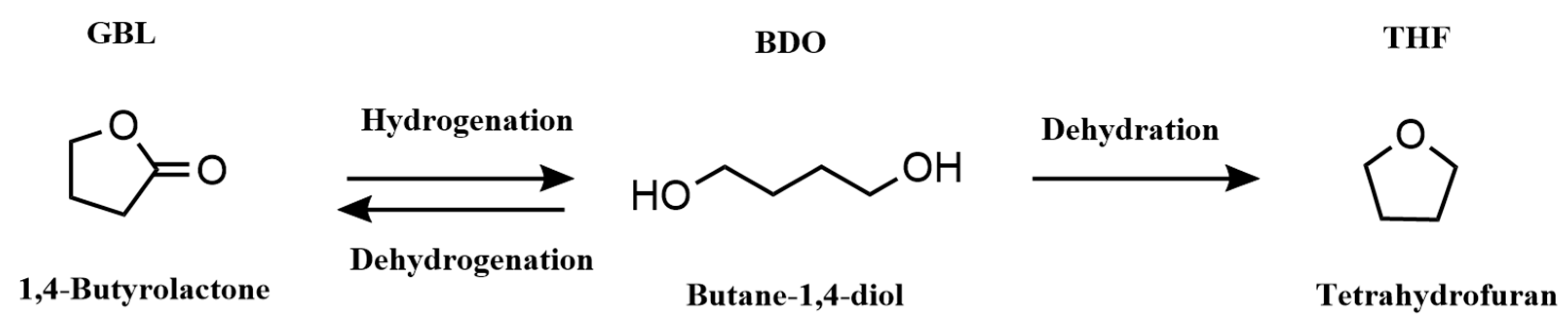 Catalysts 14 00297 sch002